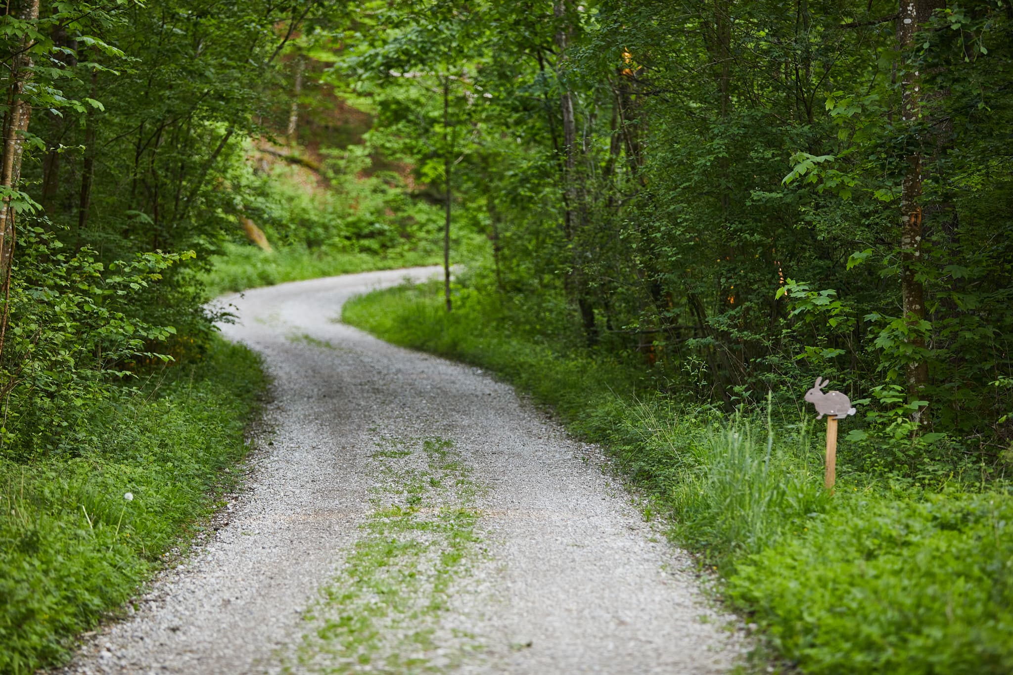 Walderlebnispfad schlängelt sich durch Wald. Klosterau, Gemeinde Mehring, Landkreis Altötting, Oberbayern, Inn-Salzach, Deutschland.