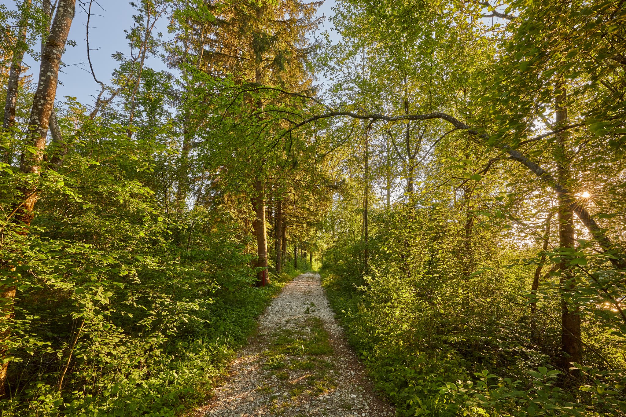 Malerischer Klosterau Walderlebnispfad in Mehring, Landkreis Altötting, Oberbayern, Region Inn-Salzach, Deutschland. Ein idyllischer Naturpfad.