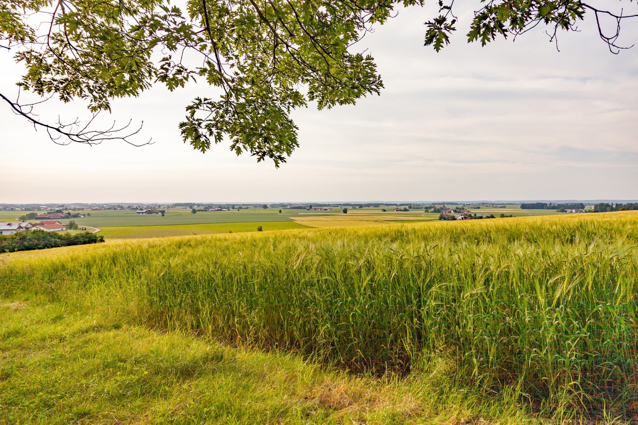 Ländliche Weitblicke über Felder bei Oberschroffen, Unterneukirchen. Landkreis Altötting, Oberbayern, Region Inn-Salzach, Deutschland.