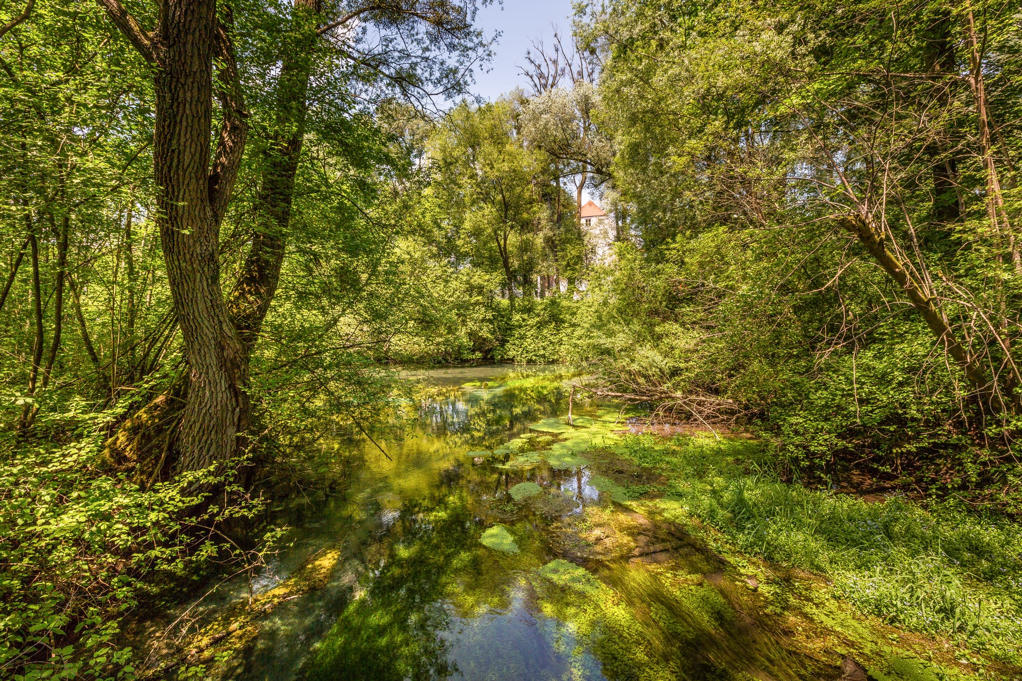 Malerischer Bachlauf hinter der Burg Frauenstein, gelegen in der Gemeinde Mining, Bezirk Braunau am Inn, Oberösterreich. Naturlandschaft im Innviertel.