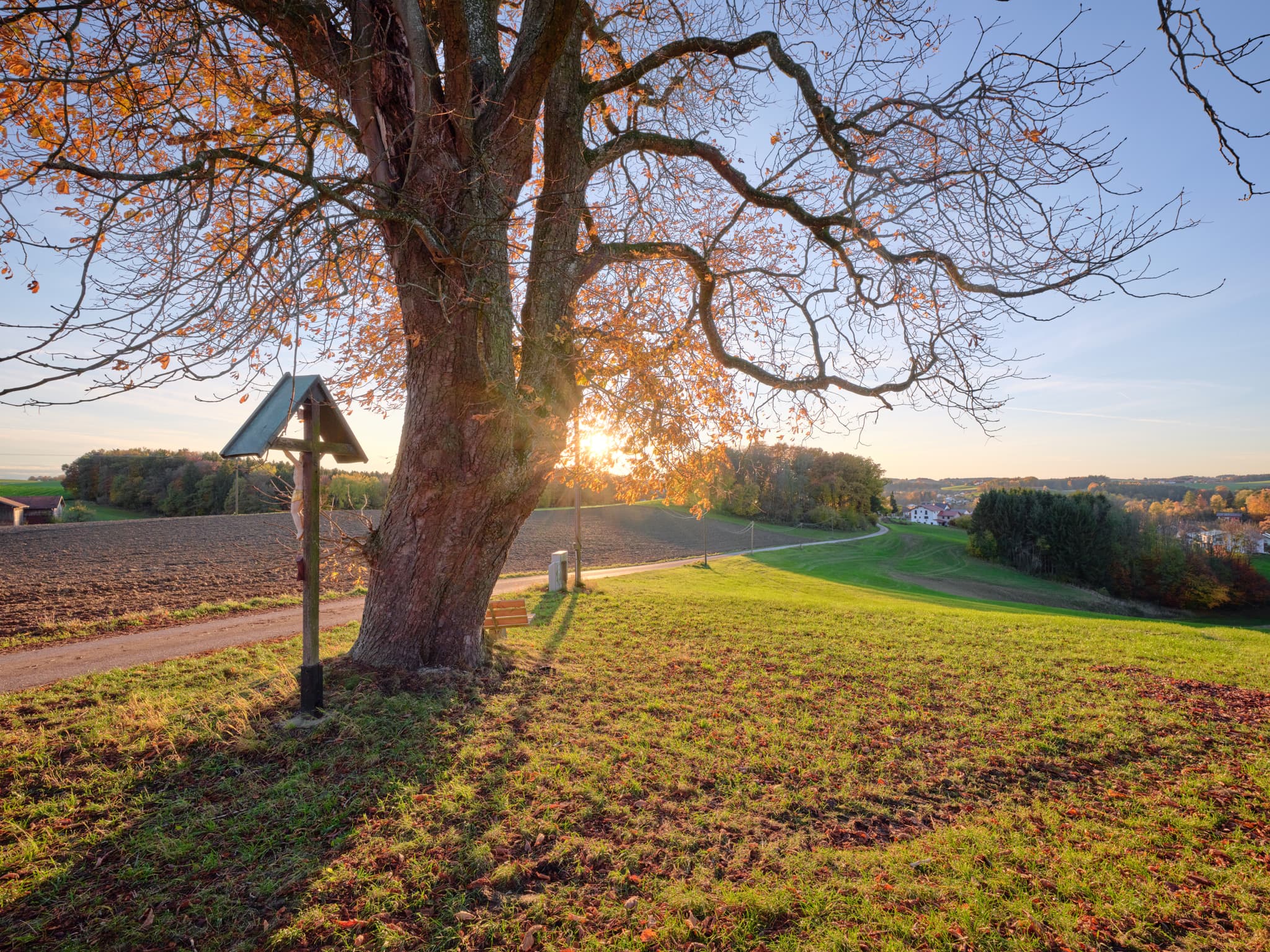 Kastanie mit Kreuz an der Petzlberger Straße in Petzlberg, Reischach. Herbstliche Wiesen im Landkreis Altötting, Oberbayern, Deutschland.