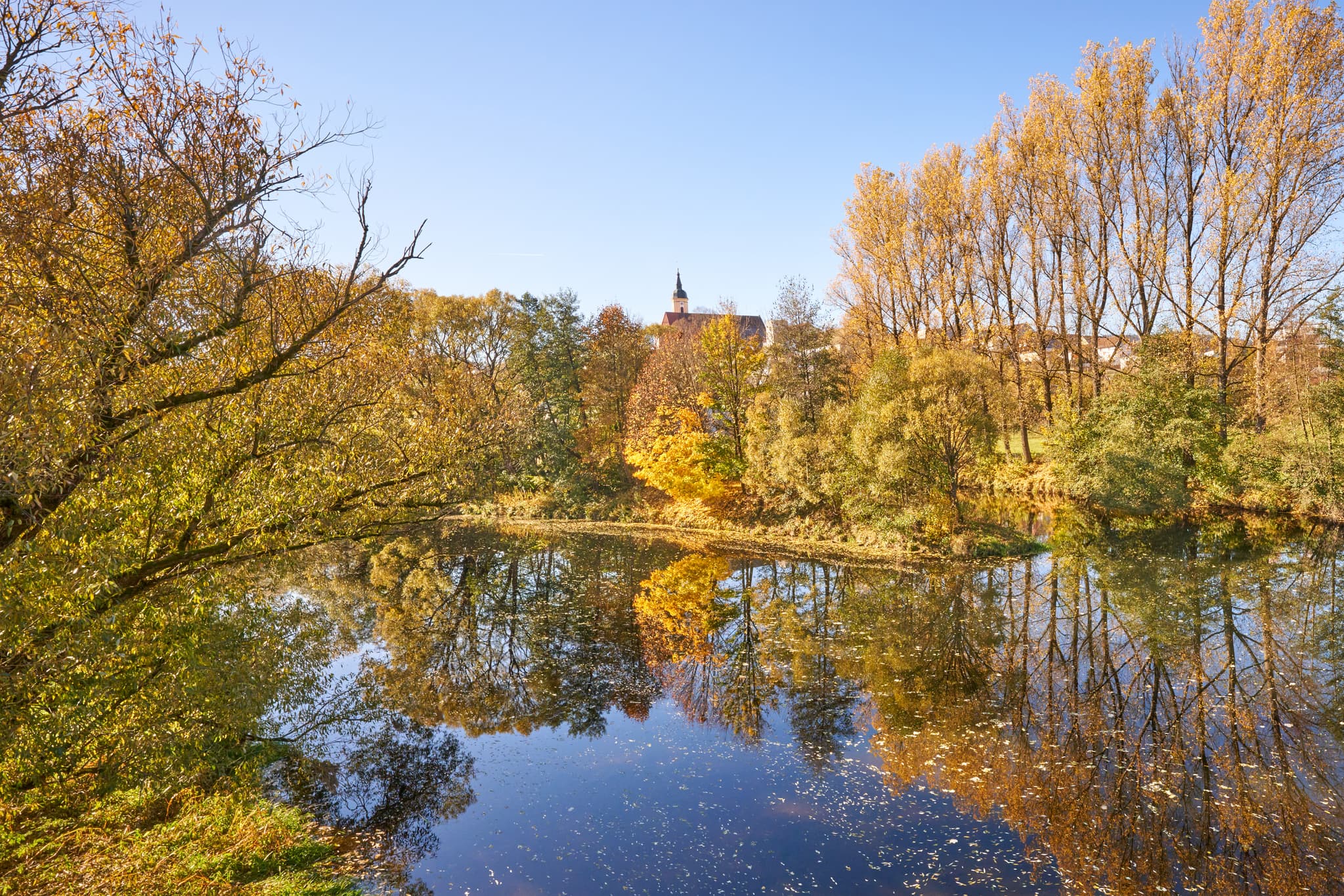 Herbstliche Natur am Schwarzer Regen in Viechtach, Landkreis Regen, Niederbayern, Deutschland. Spiegelung farbenfroher Bäume im Wasser des Bayerischen Waldes.