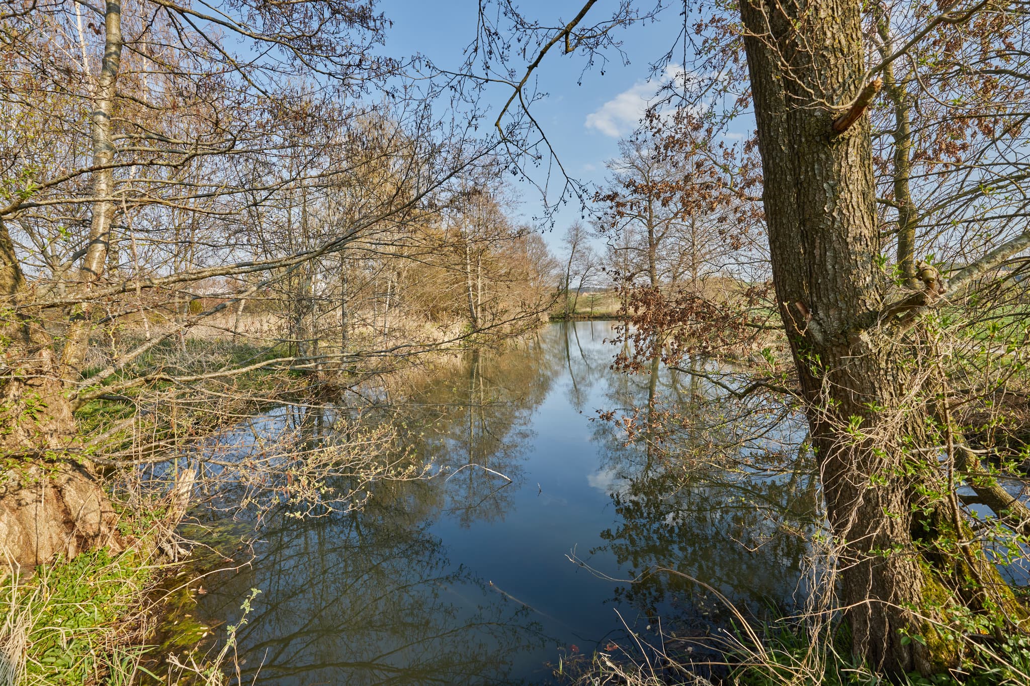 Pfarrweiher in Oberdietfurt, Landkreis Rottal-Inn, Niederbayern, Holzland, Deutschland. Ruhiger Teich, umgeben von Bäumen und der Natur. Spiegelung im Wasser.