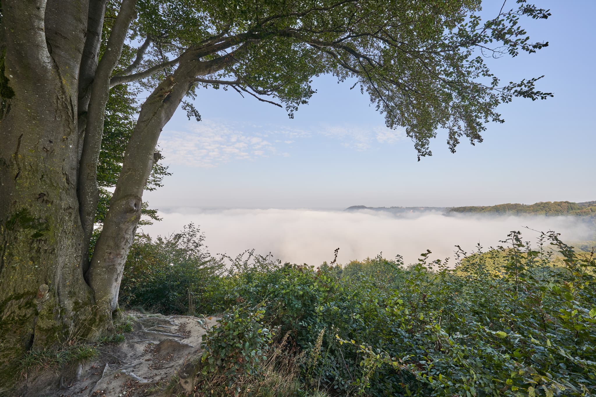 Malerische Aussicht auf eine nebelverhangene Landschaft bei Morgennebel in Marktl am Inn, Altötting, Oberbayern, Deutschland, Inn-Salzach-Region.