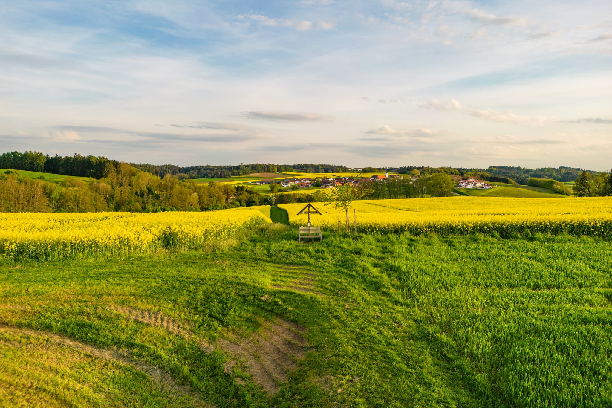 Luftbild von Rapsfeldern und grünen Wiesen bei Arbing, Reischach, Landkreis Altötting, Oberbayern, Holzland in Deutschland mit Agrarlandschaft und Wegkreuz.