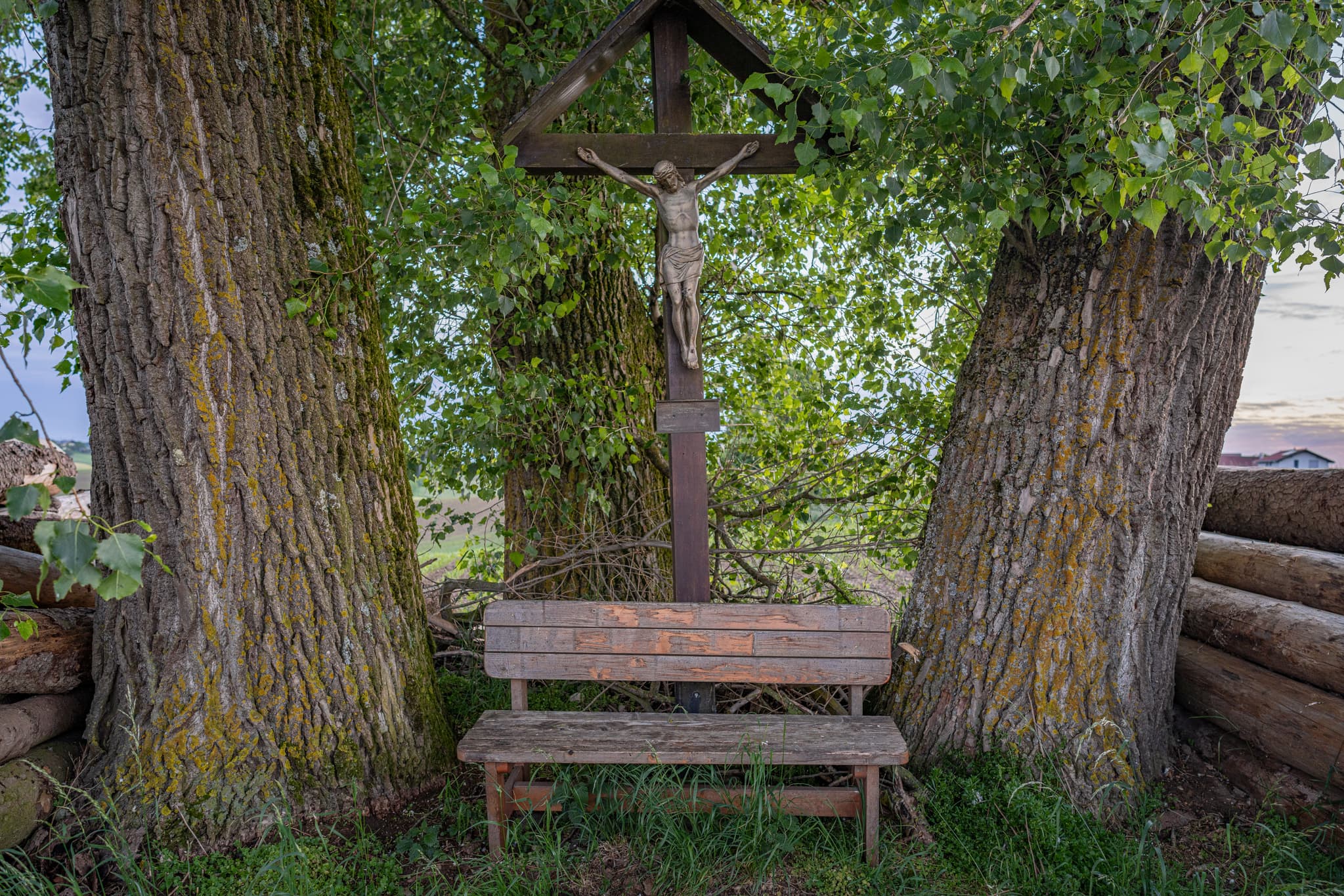 Bild zeigt einen dreistämmigen Baum mit Kreuz und Bank in Reischach, Altötting, Oberbayern, Region Inn-Salzach, Deutschland.  Ruhige, ländliche Atmosphäre.