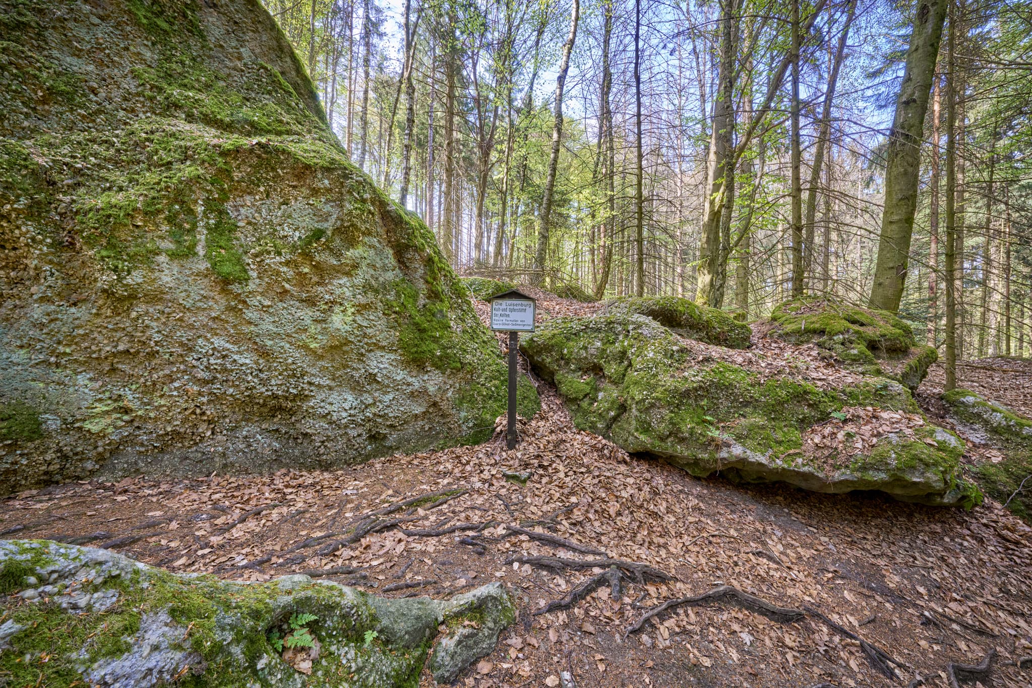 Waldweg mit bemoosten Felsen in St. Salvator Luisenburg, Bad Griesbach. Passau, Niederbayern, Deutschland.