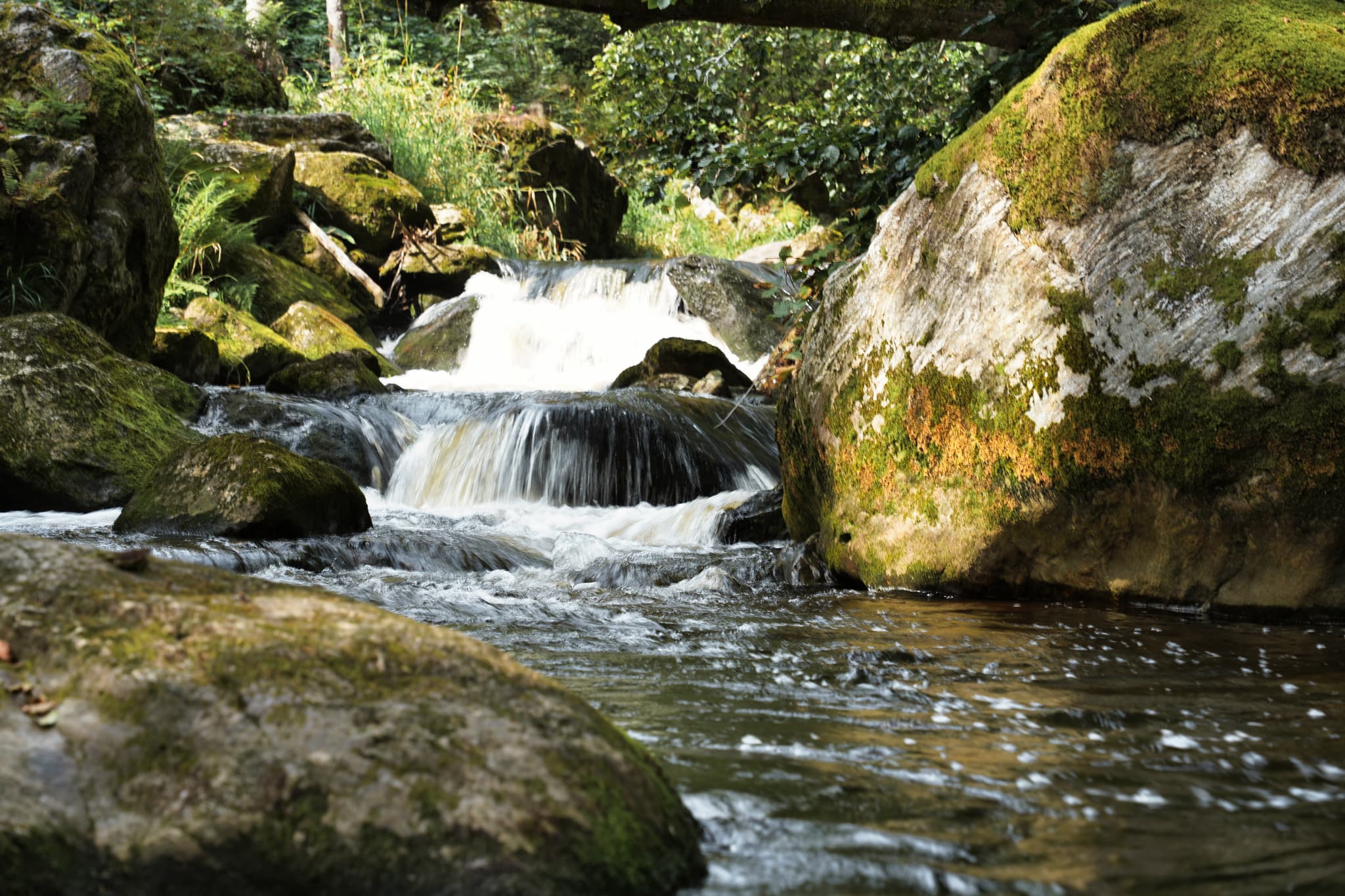 Idyllischer Wasserfall in der Steinbachklamm. Wasser rauscht über mit Moos bewachsene Felsen. Sonnenlicht durchdringt das Blätterdach und beleuchtet die Szene
