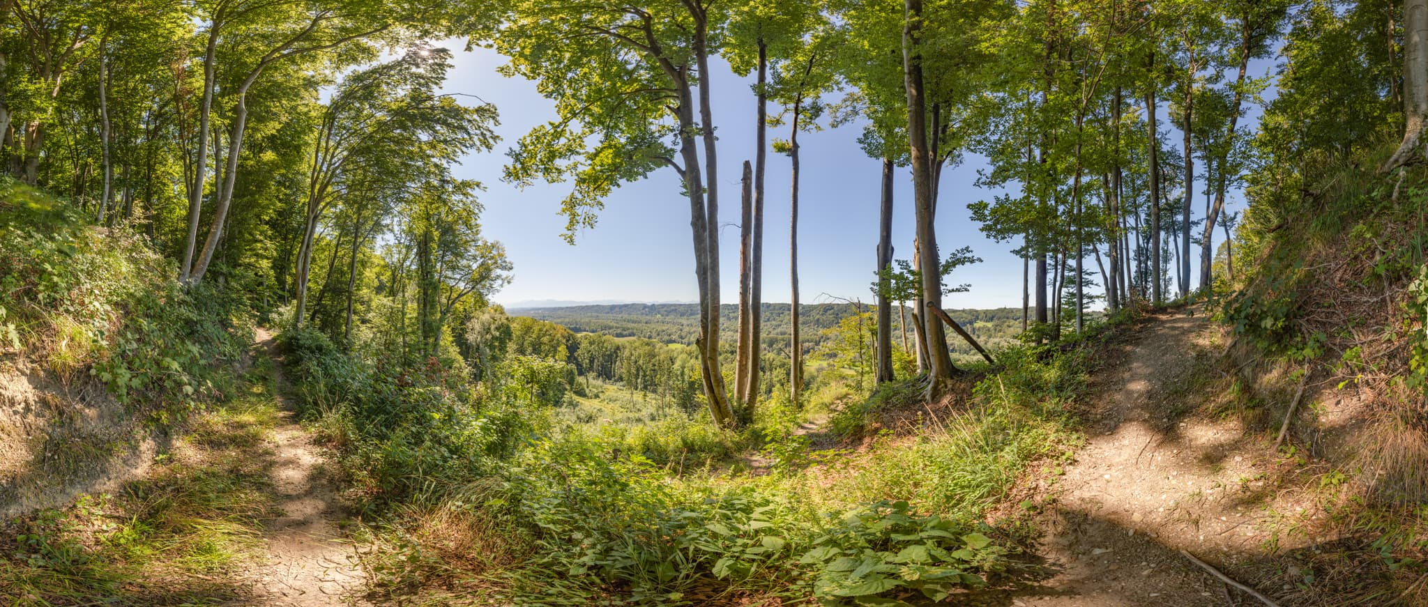 Panoramablick auf eine ausgedehnte Waldlandschaft bei Hadermarkt in St. Radegund, Landkreis Braunau am Inn, Oberösterreich. Teil des Innviertels, Österreich.