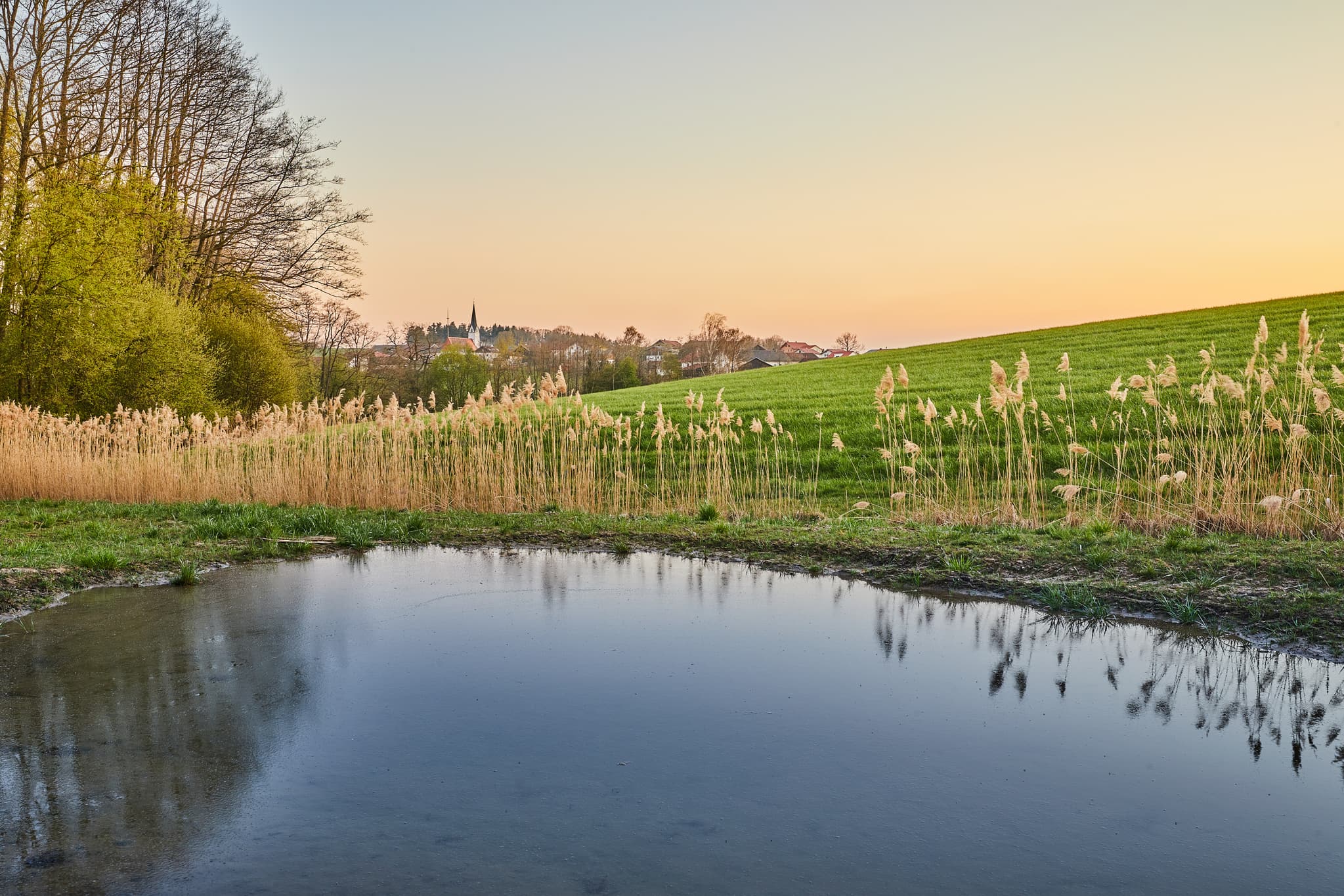 Blick über einen Teich mit Schilf und Hügellandschaft in Arbing, Gemeinde Reischach, Landkreis Altötting, Oberbayern, Inn-Salzach, Deutschland.