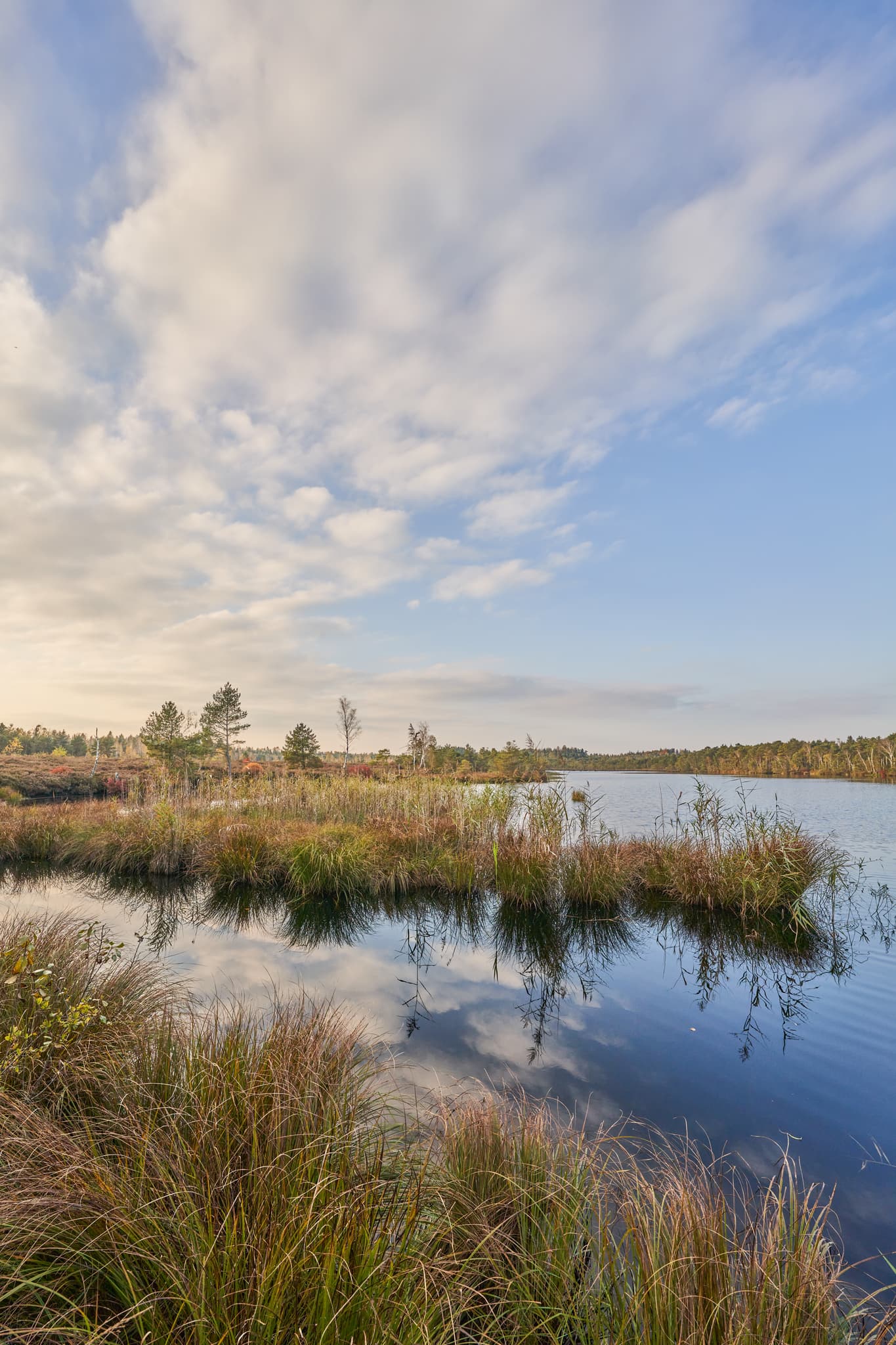 Idyllischer Schönramer Filz Moorsee in Petting, Landkreis Traunstein, Oberbayern, Deutschland. Ein Naturjuwel im Chiemgau mit reicher Moorlandschaft.