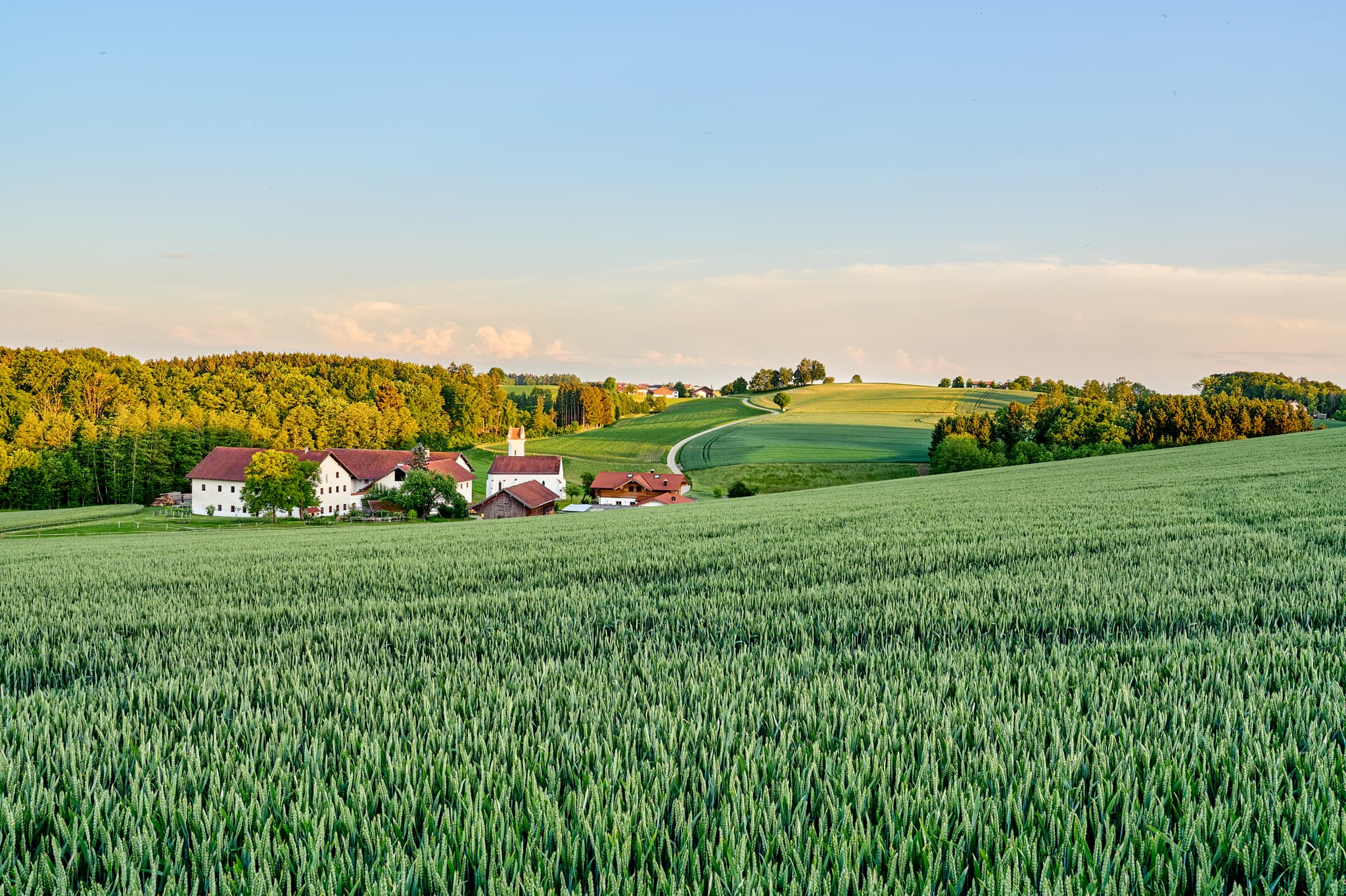Landschaftsaufnahme mit weiten Feldern und dem Ortsteil Birnbach bei Erlbach, Altötting, Oberbayern, Region Inn-Salzach in Deutschland zeigt sanfte Hügel.