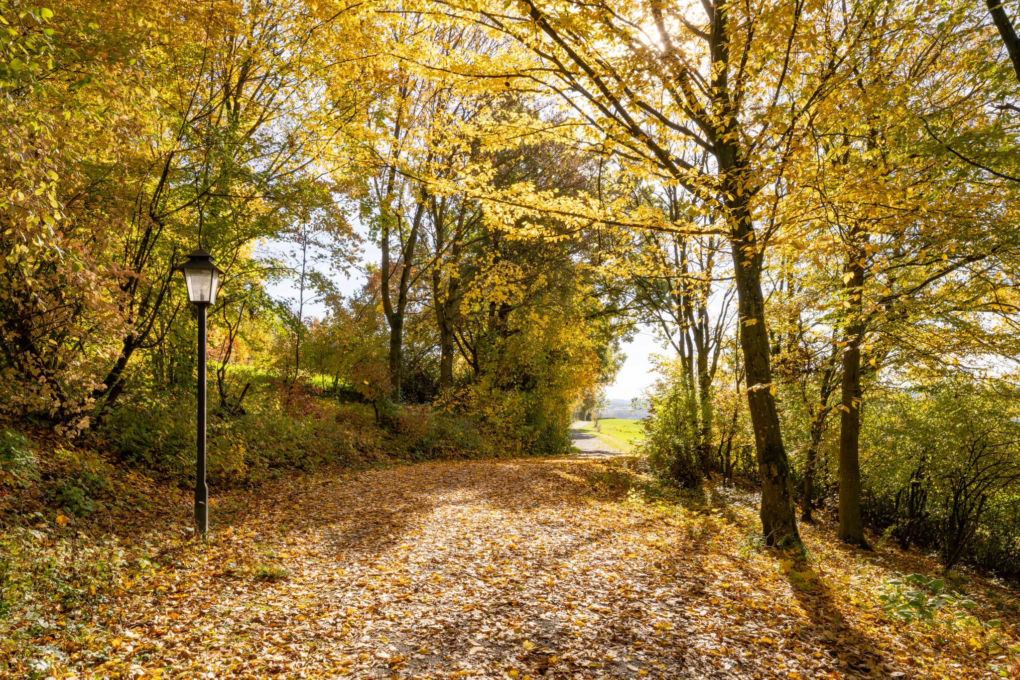 Kurpark in Bad Griesbach im Rottal, Niederbayern. Eine Herbstszene mit bunten Bäumen, Laub auf dem Weg und einer Laterne lädt zum Spaziergang ein. Deutschland.