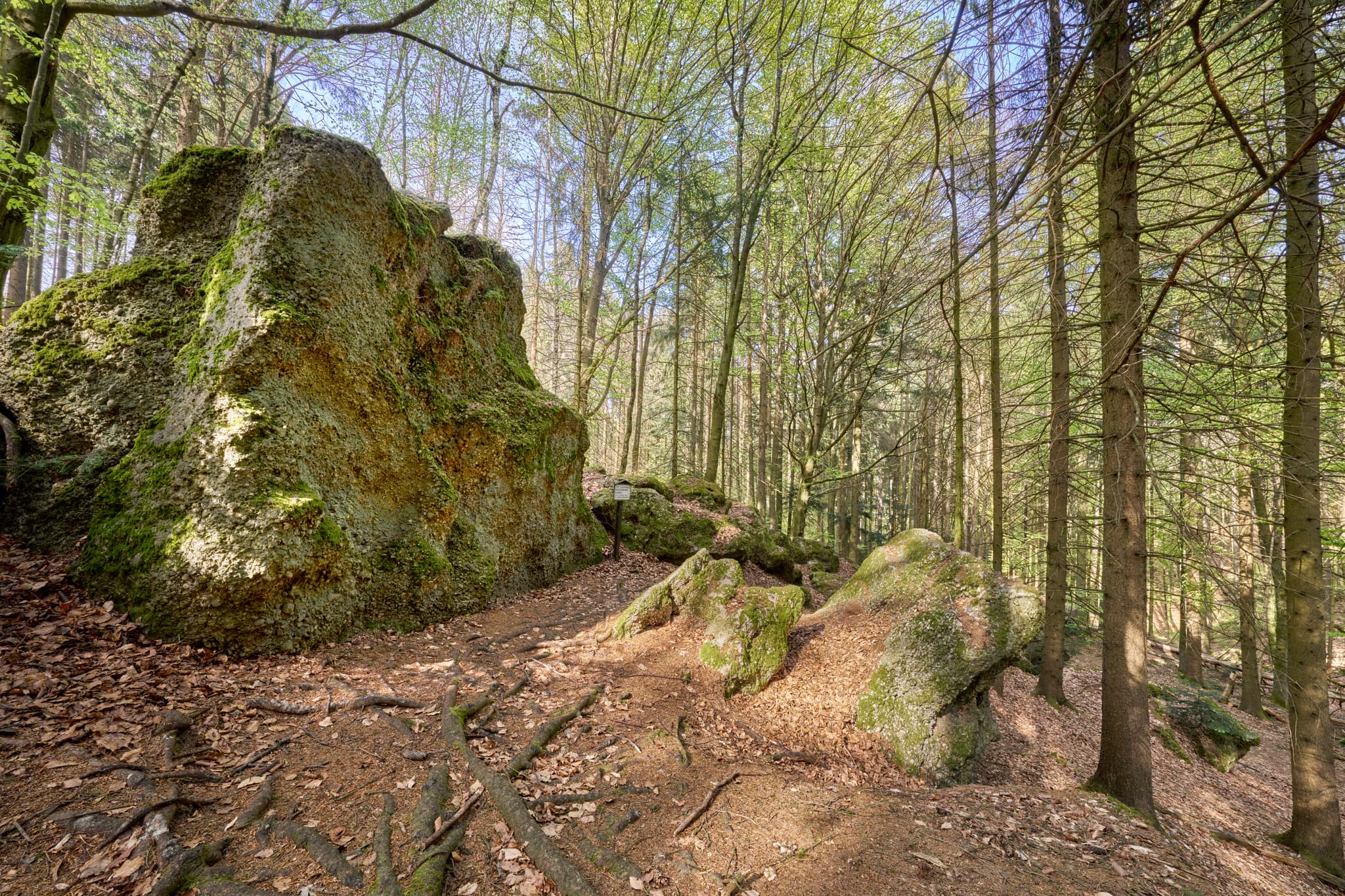 Waldweg mit bemoosten Felsen in St. Salvator Luisenburg, Bad Griesbach. Passau, Niederbayern, Deutschland.