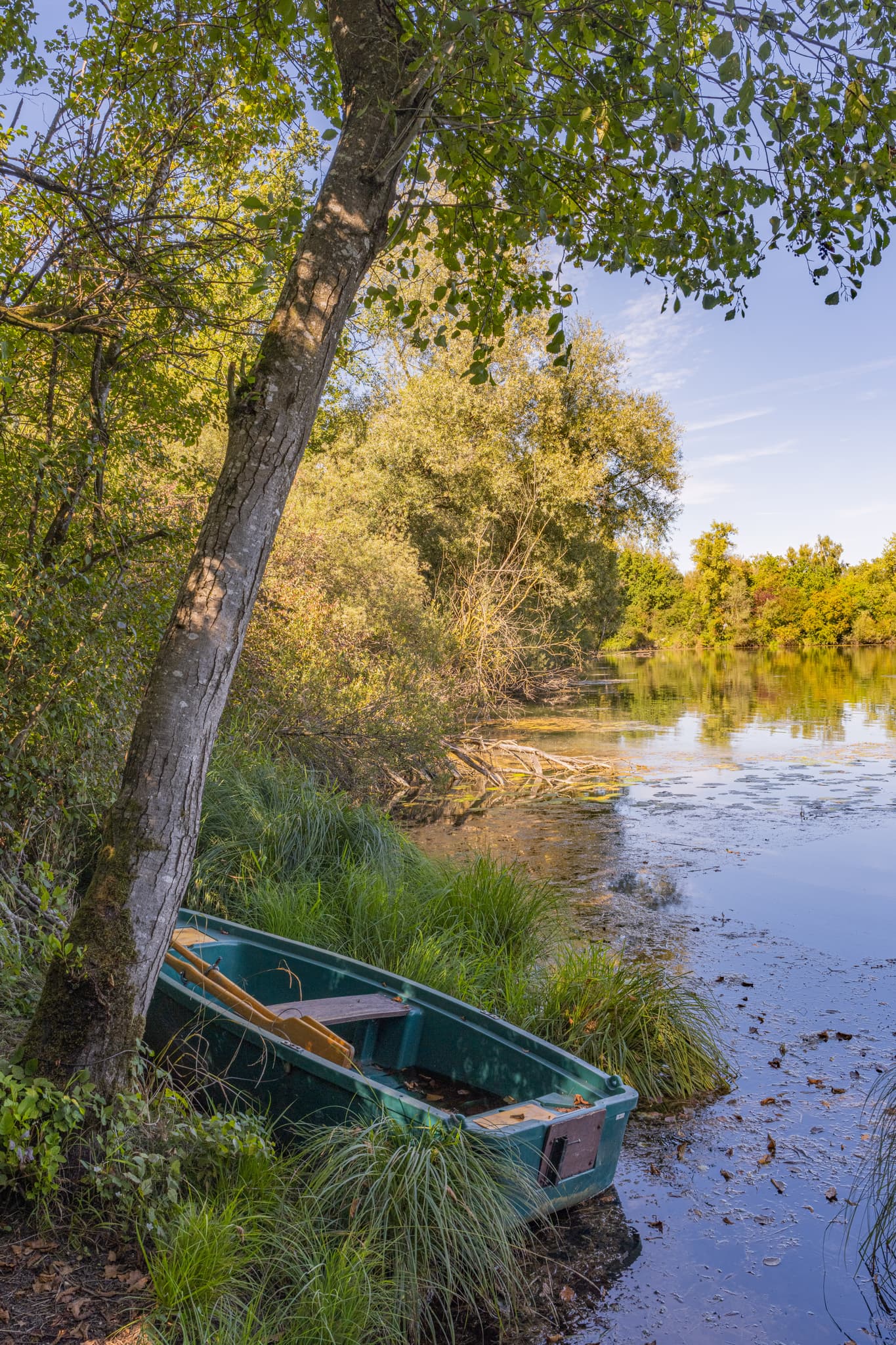 Grünes Ruderboot am Ufer des Waldsee Lago Sommer in Kirchdorf am Inn, Landkreis Rottal-Inn, Niederbayern. Idyllische Natur im Bäderdreieck, Deutschland.
