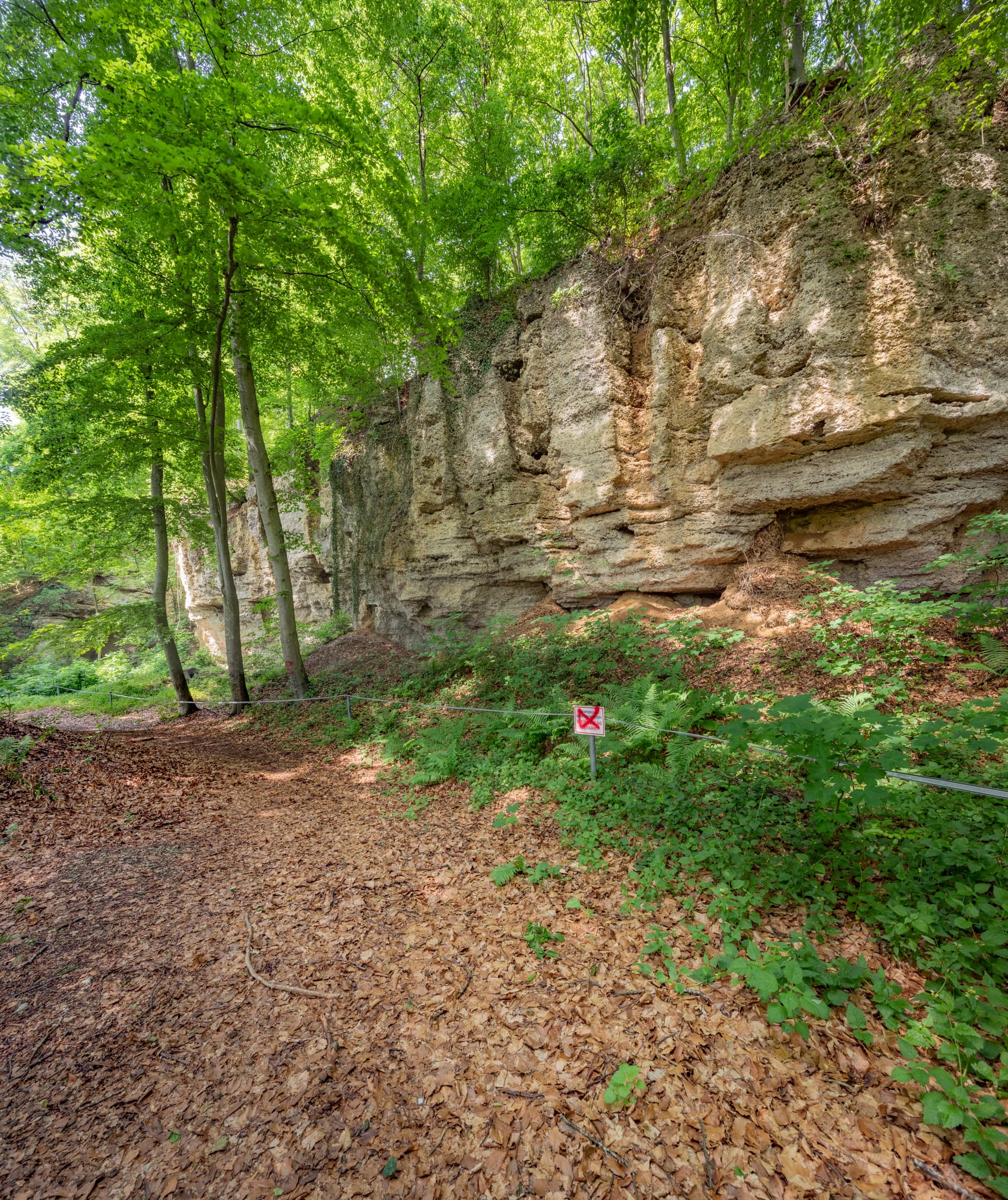 Panorama der Geologischen Orgeln Schroffen, Oberschroffen, Unterneukirchen, Landkreis Altötting, Oberbayern, Region Inn-Salzach, Deutschland.