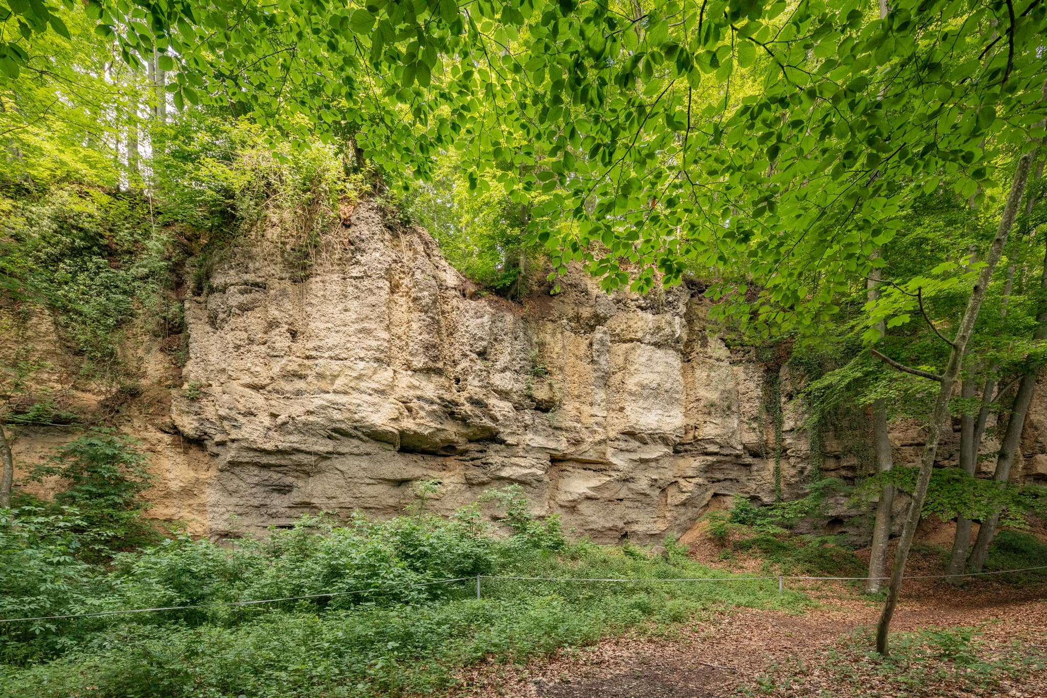 Geologische Orgeln in Oberschroffen, Unterneukirchen, Landkreis Altötting, Oberbayern, Deutschland. Landschaft der Region Inn-Salzach. Ein Naturdenkmal im Wald.