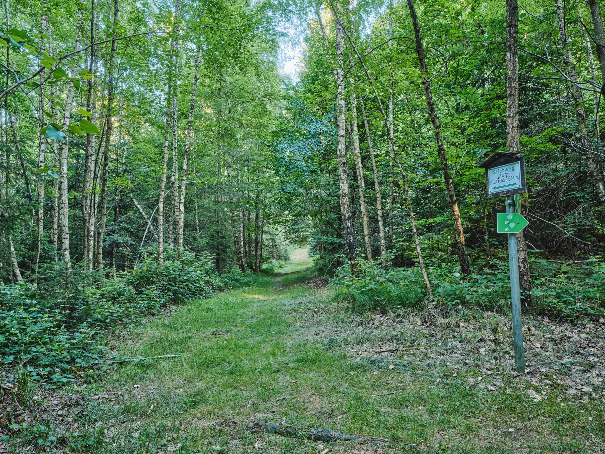 Waldweg St. Salvator zum Kultstein, Bad Griesbach, Landkreis Passau, Niederbayern, Bayern. Deutschland.