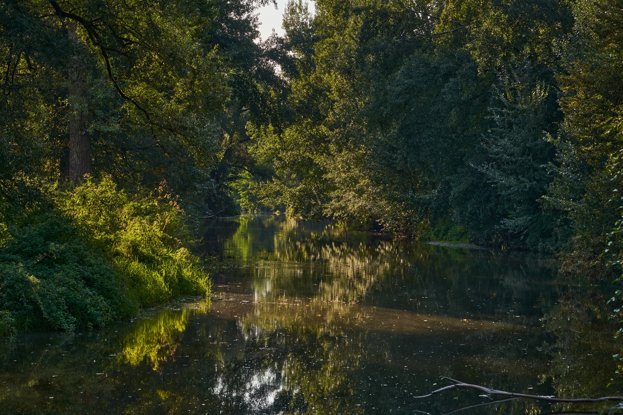 Ruhiger Fluss in dichter Vegetation. Steinhöring, Winhöring, Altötting, Oberbayern, Inn-Salzach, Deutschland. Am Isen Pilgerweg.