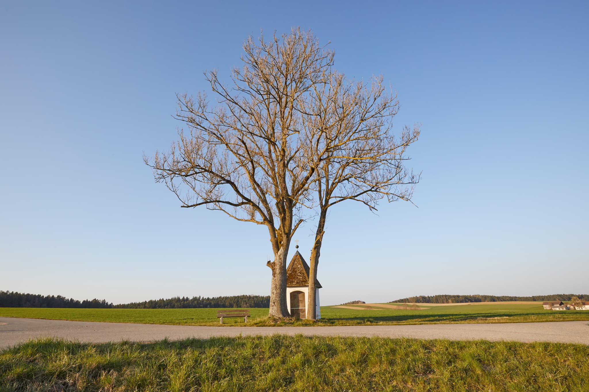 Kapelle St. Anna mit Baum in Feldlandschaft bei Martinskirchen, Wurmannsquick, Landkreis Rottal-Inn, Niederbayern, Holzland, Deutschland.