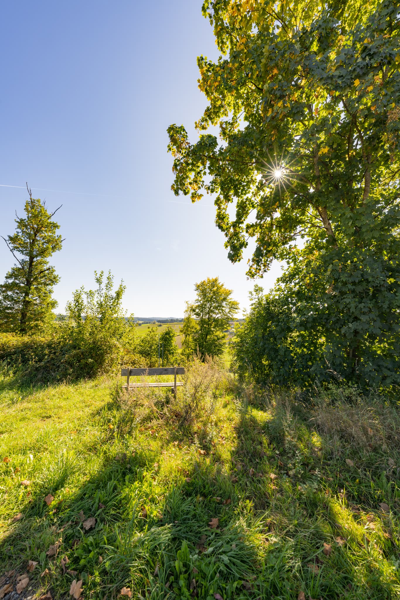 Landschaft mit Rastbank am Wanderweg 2 bei Guteneck, Johanniskirchen, Rottal-Inn, Niederbayern, Bäderdreieck in Deutschland bietet grüne Hügel und Erholung.