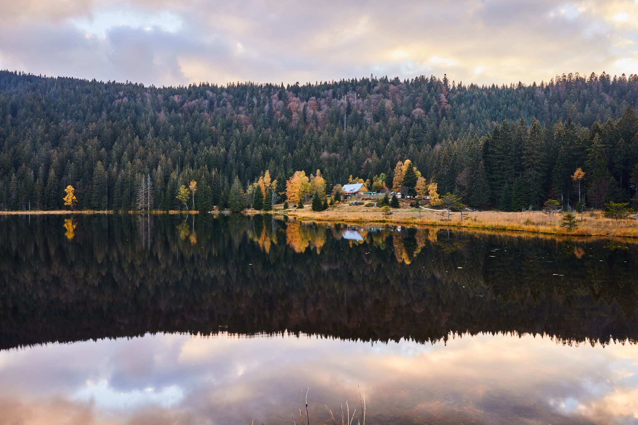Der Kleine Arbersee in Lohberg, Landkreis Cham, Oberpfalz. Ruhiges Wasser und bewaldete Ufer mit Herbstlaub spiegeln sich.