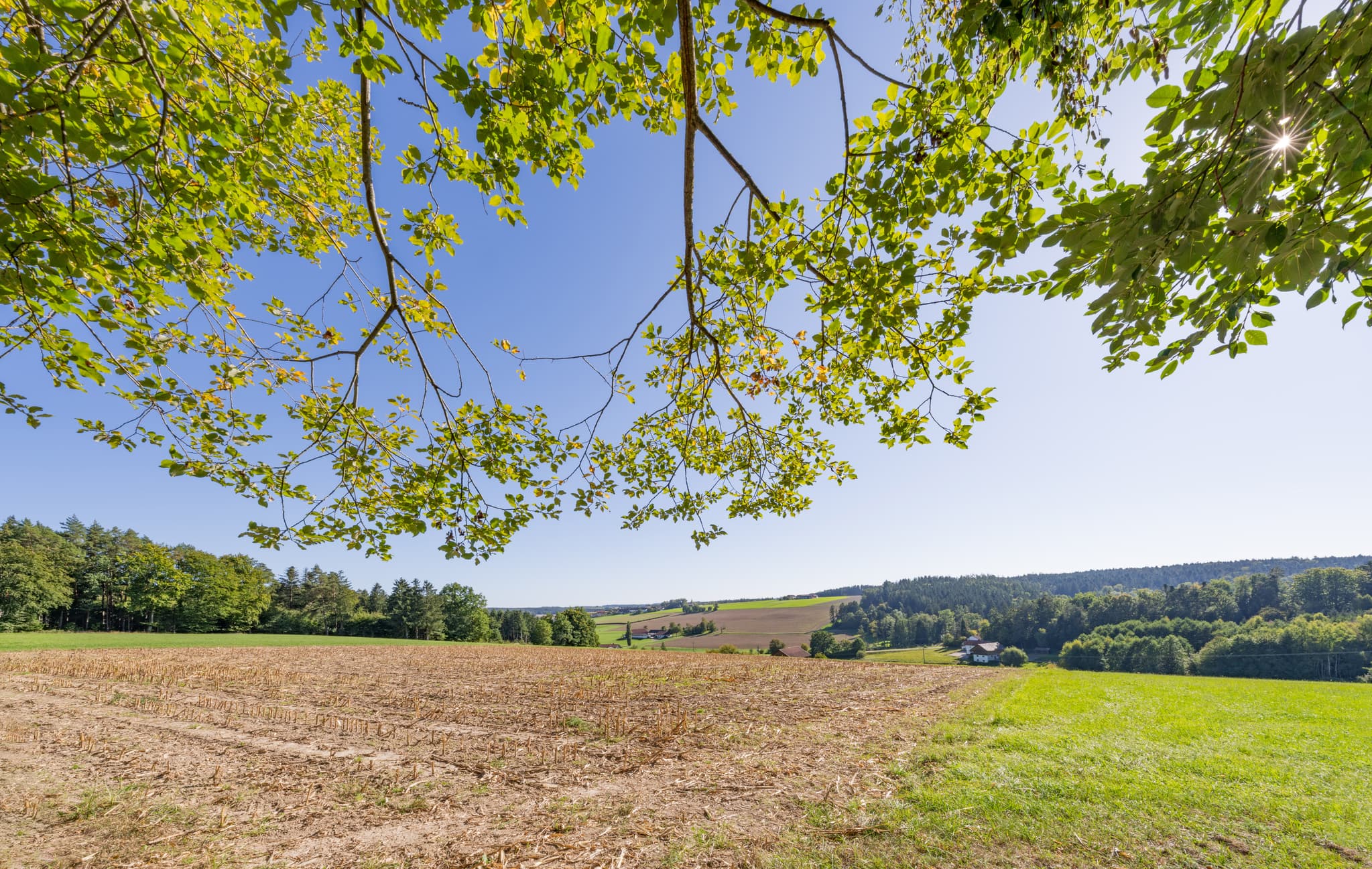 Landschaft am Wanderweg in Guteneck, Johanniskirchen, Rottal-Inn. Felder und Bäume prägen das Bild in Niederbayern, Region Holzland, Deutschland.