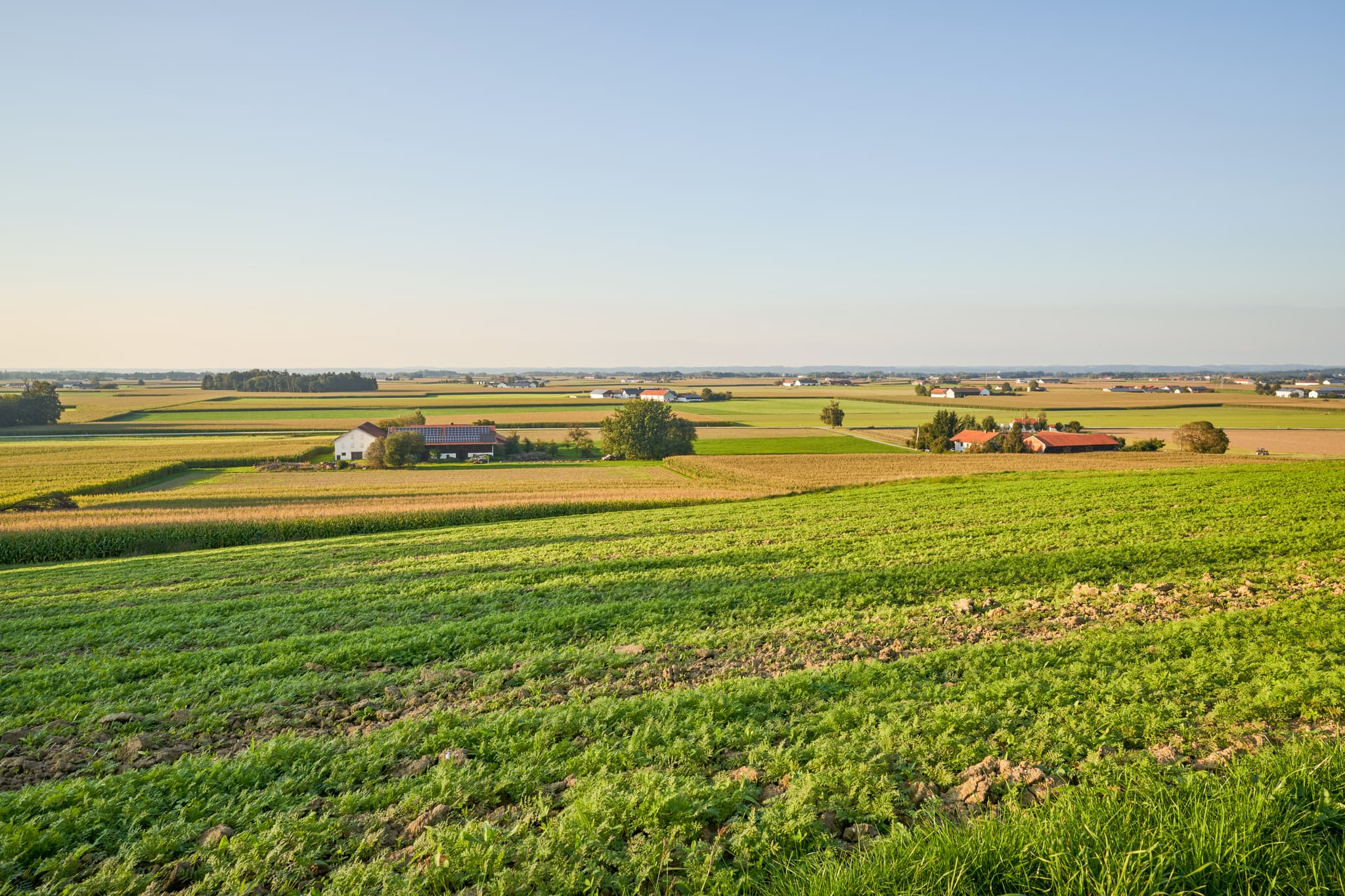Weite Landschaftsaufnahme aus Hörmann, Gemeinde Unterneukirchen, Altötting. Zeigt Felder und Häuser in der Region Inn-Salzach, Oberbayern, Deutschland.
