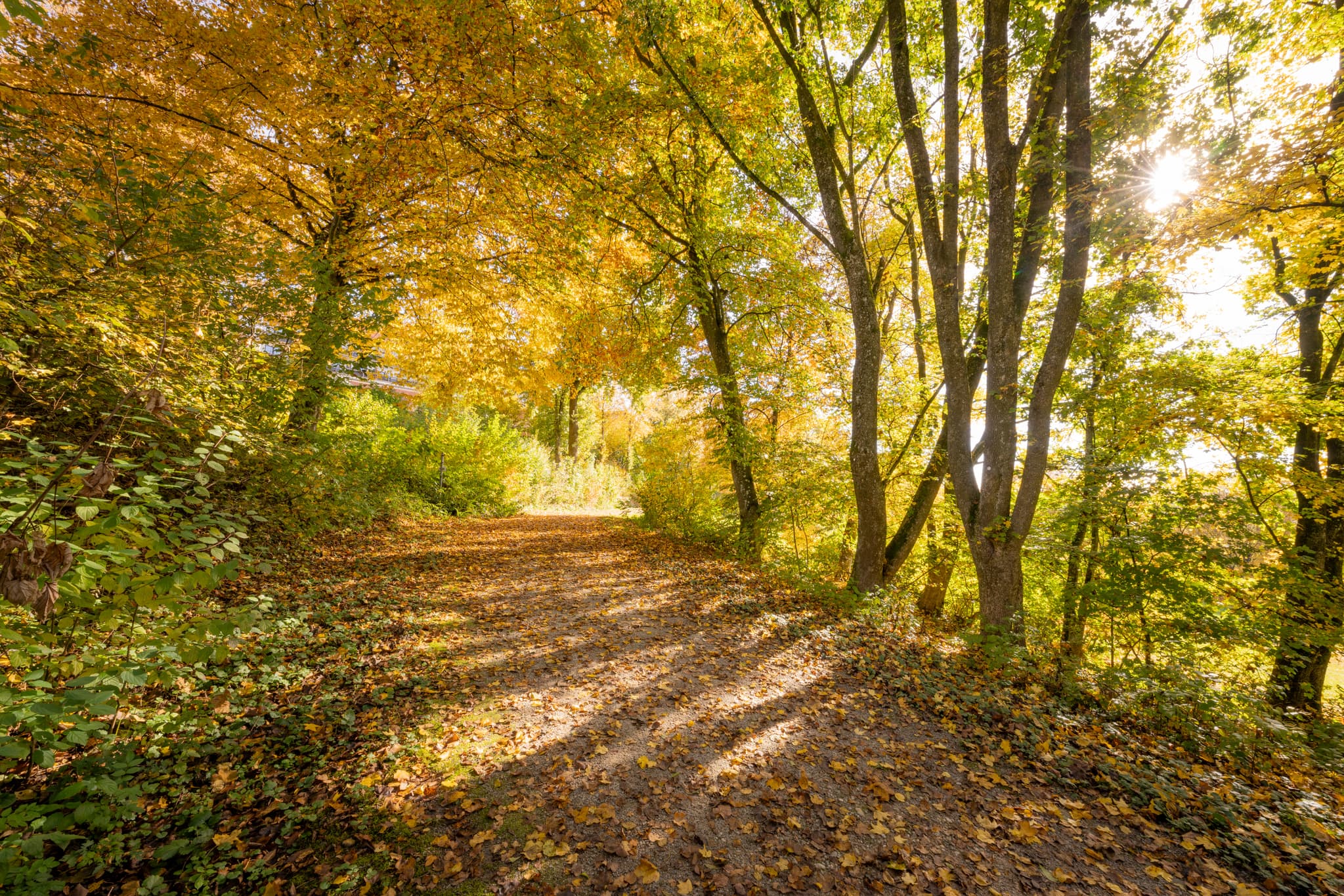 Idyllischer Herbsttag im Kurpark Bad Griesbach im Rottal, Landkreis Passau, Niederbayern, Deutschland. Einladende Natur im Bäderdreieck.
