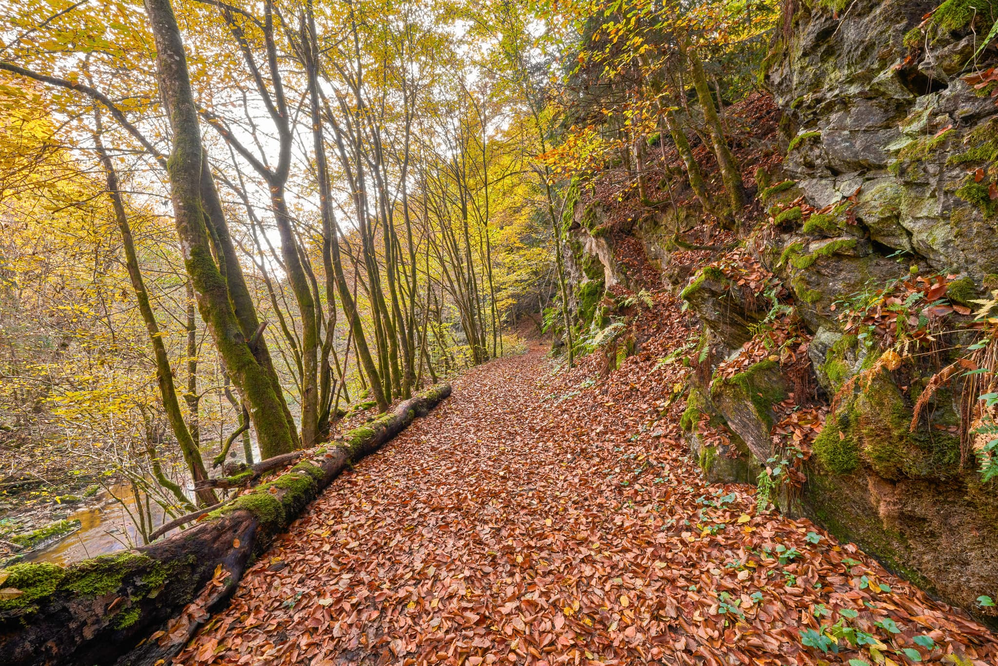 Herbstlicher Wanderweg im Erlautal, Erlau, Obernzell, Landkreis Passau, Niederbayern. Blätter auf dem Pfad. Bäume und Felsen im Bayerischen Wald, Deutschland.
