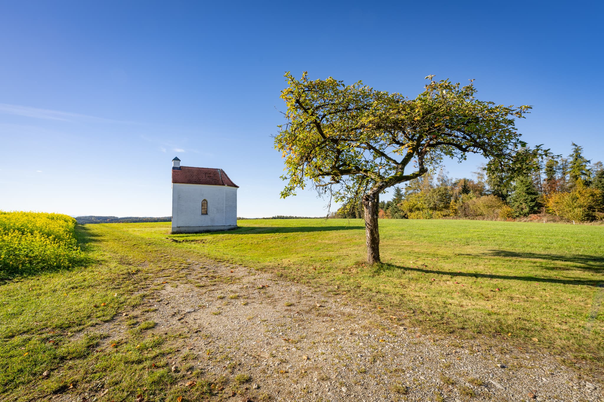Kreuzhäusl Kapelle in ländlicher Umgebung bei Wurmannsquick, Landkreis Rottal-Inn. In Niederbayern, Deutschland, umgeben von Wiesen und Bäumen im Holzland.