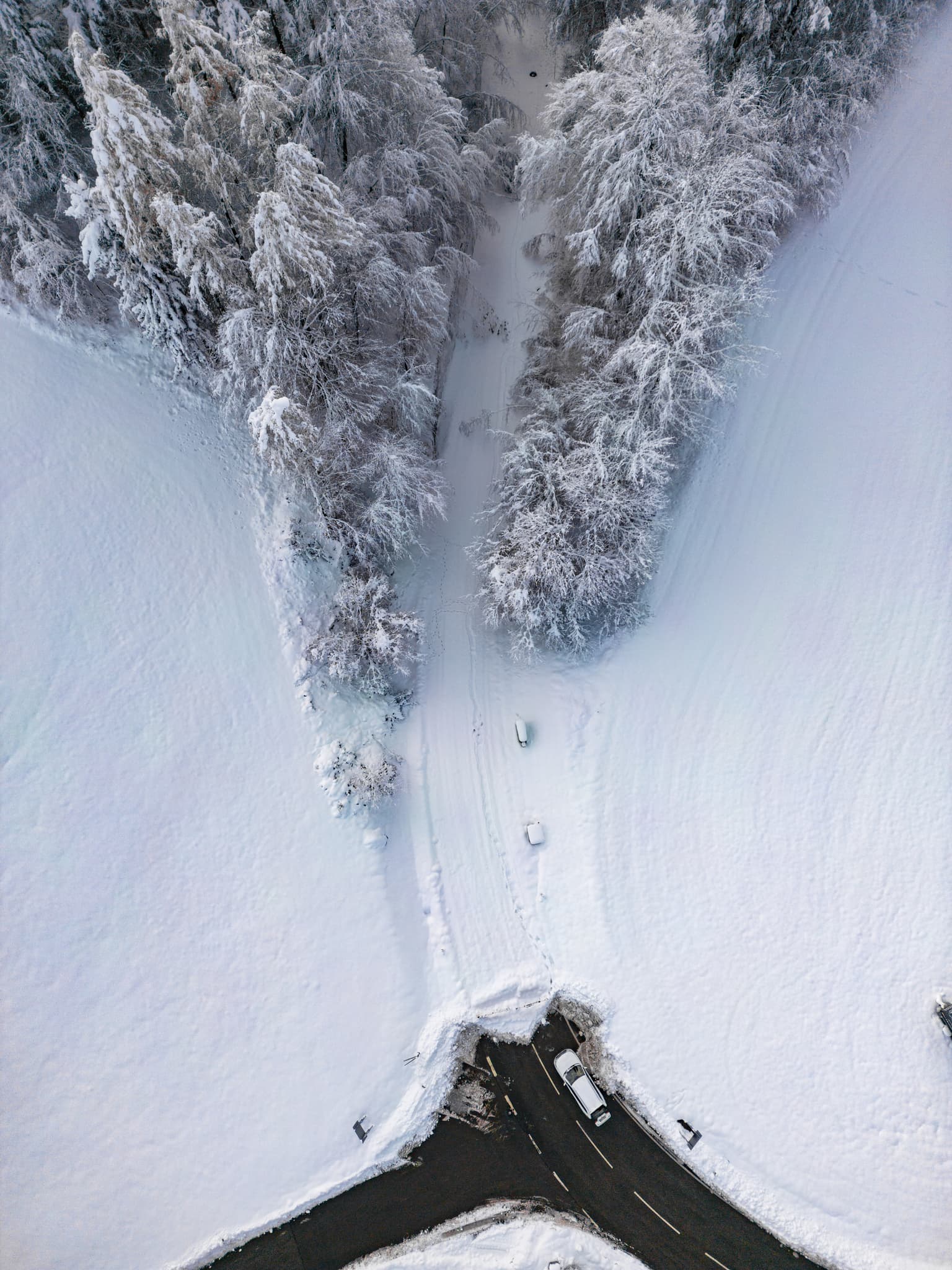 Luftbild vom Bruckberg in Marktl, Landkreis Altötting, Oberbayern, Region Inn-Salzach, Deutschland. Auswirkungen von Schneebruch am 03.12.2023.