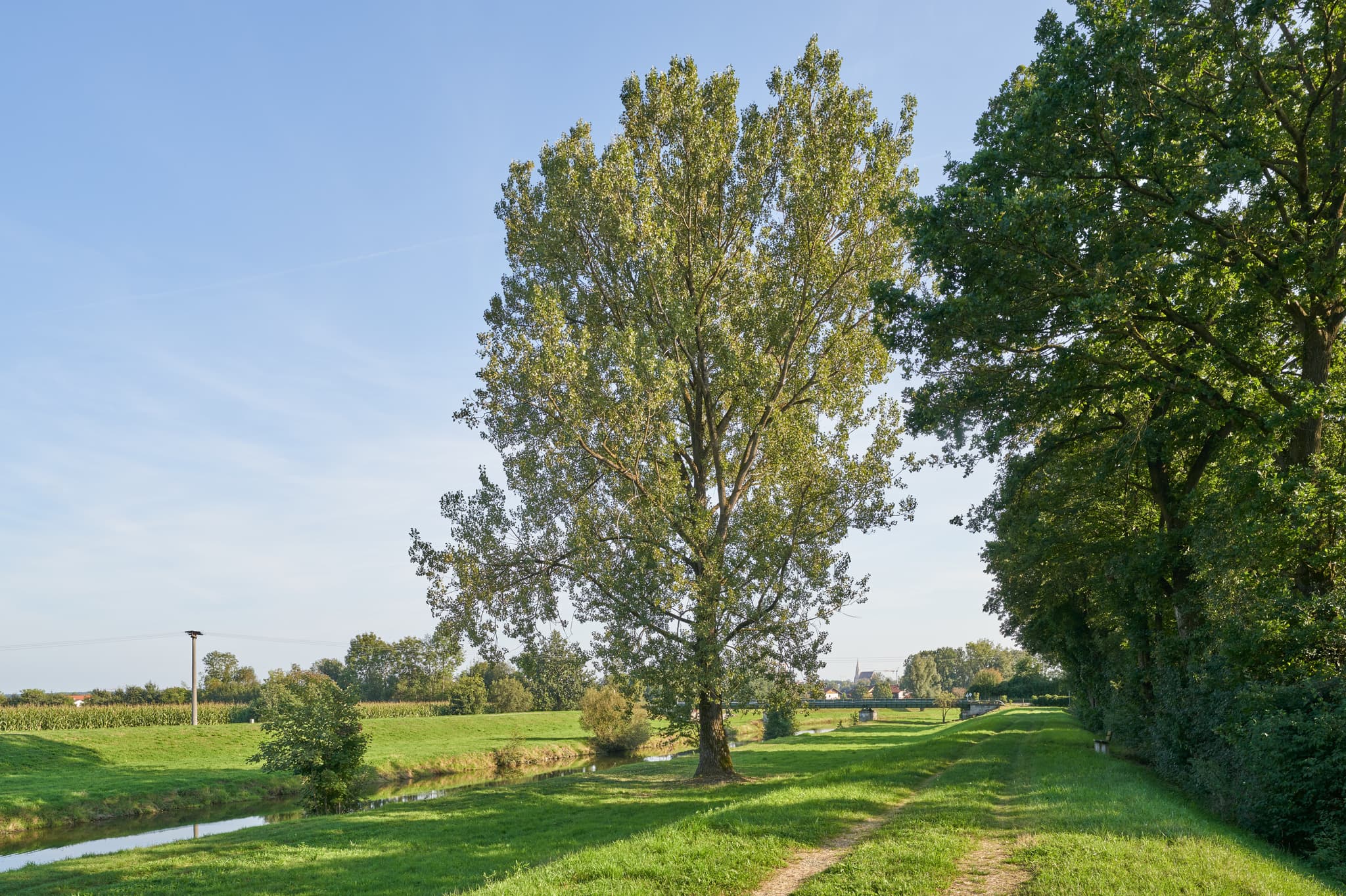Idyllische Landschaft mit Wiesen, Bäumen und einem Feldweg in Steinhöring, Isen, Gemeinde Winhöring, Landkreis Altötting, Oberbayern, Inn-Salzach, Deutschland.