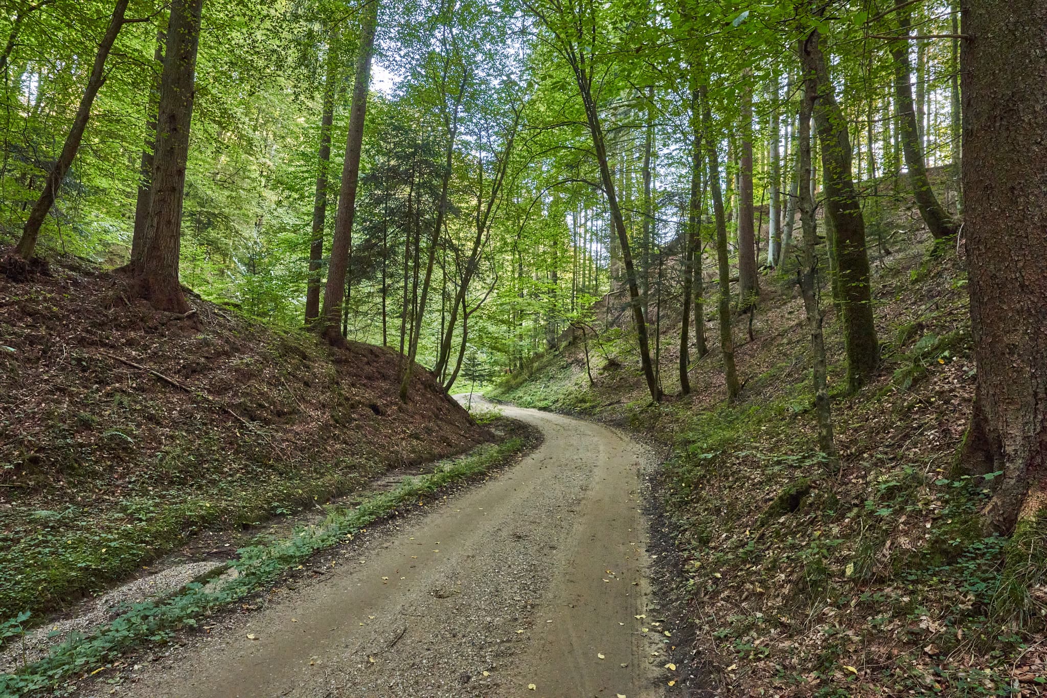 Watzinger Bach Weg Richtung Aich in Winhöring, Altötting, Oberbayern, Deutschland. Waldlandschaft der Region Inn-Salzach mit grünen Bäumen und idyllischem Pfad.