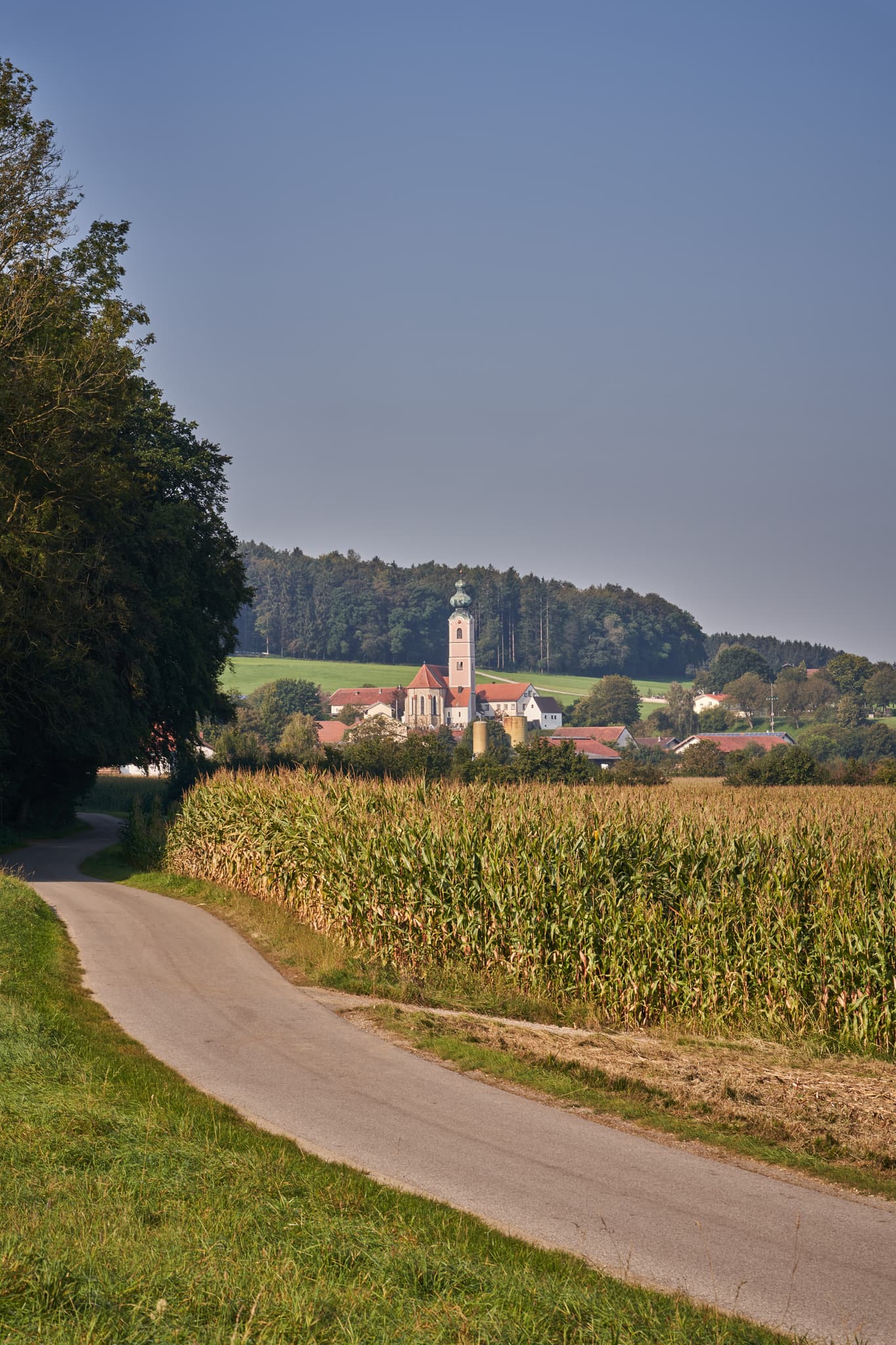 Weg durch Maisfelder bei Badhöring, Gemeinde Mehring. Im Hintergrund der Ort mit Kirchturm. Die Landschaft liegt im Landkreis Altötting, Region Inn-Salzach