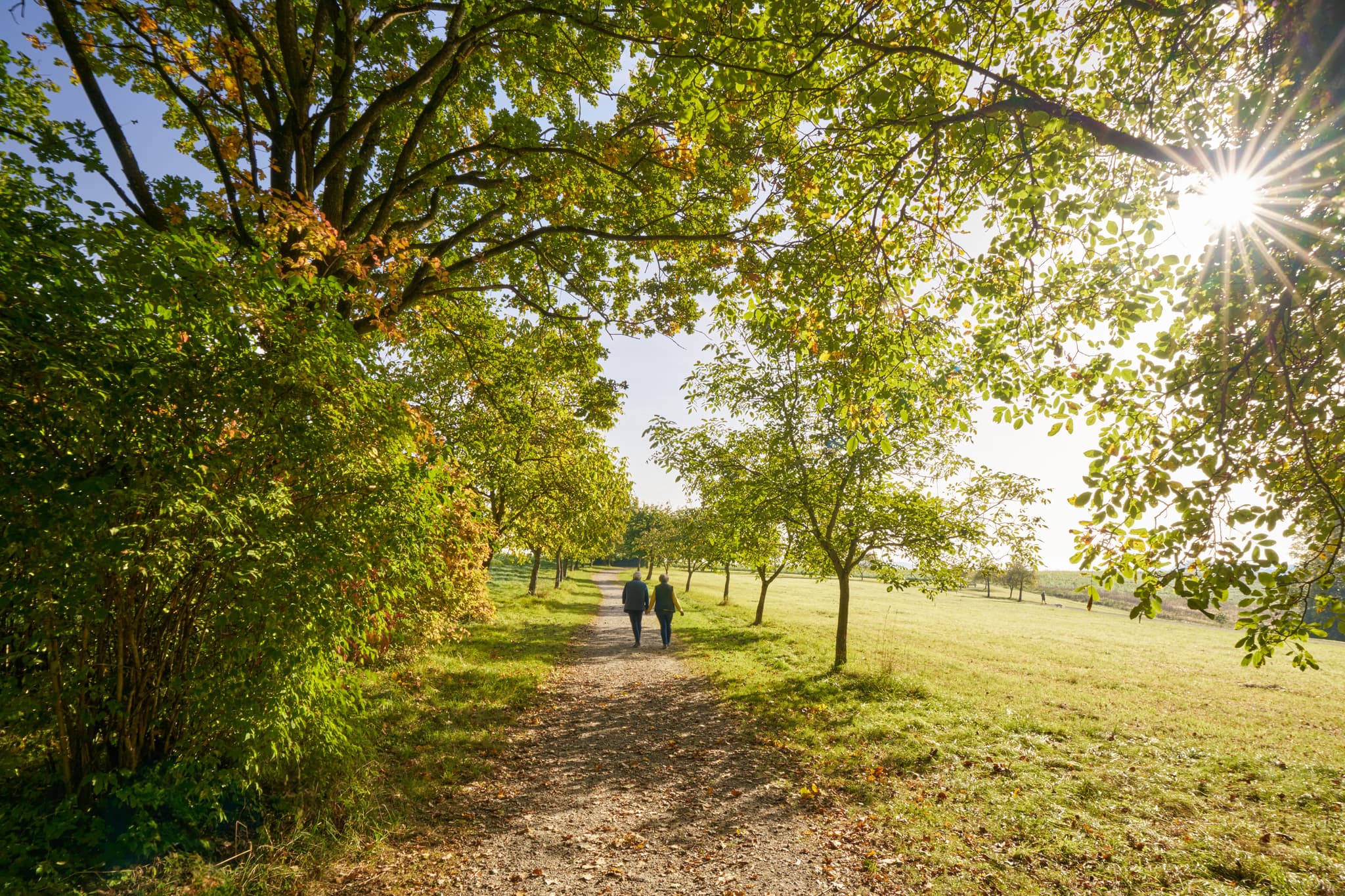 Herbstliche Impressionen aus dem Kurpark Bad Griesbach im Landkreis Passau, Niederbayern. Ein idyllischer Spaziergang im Bäderdreieck, Deutschland.