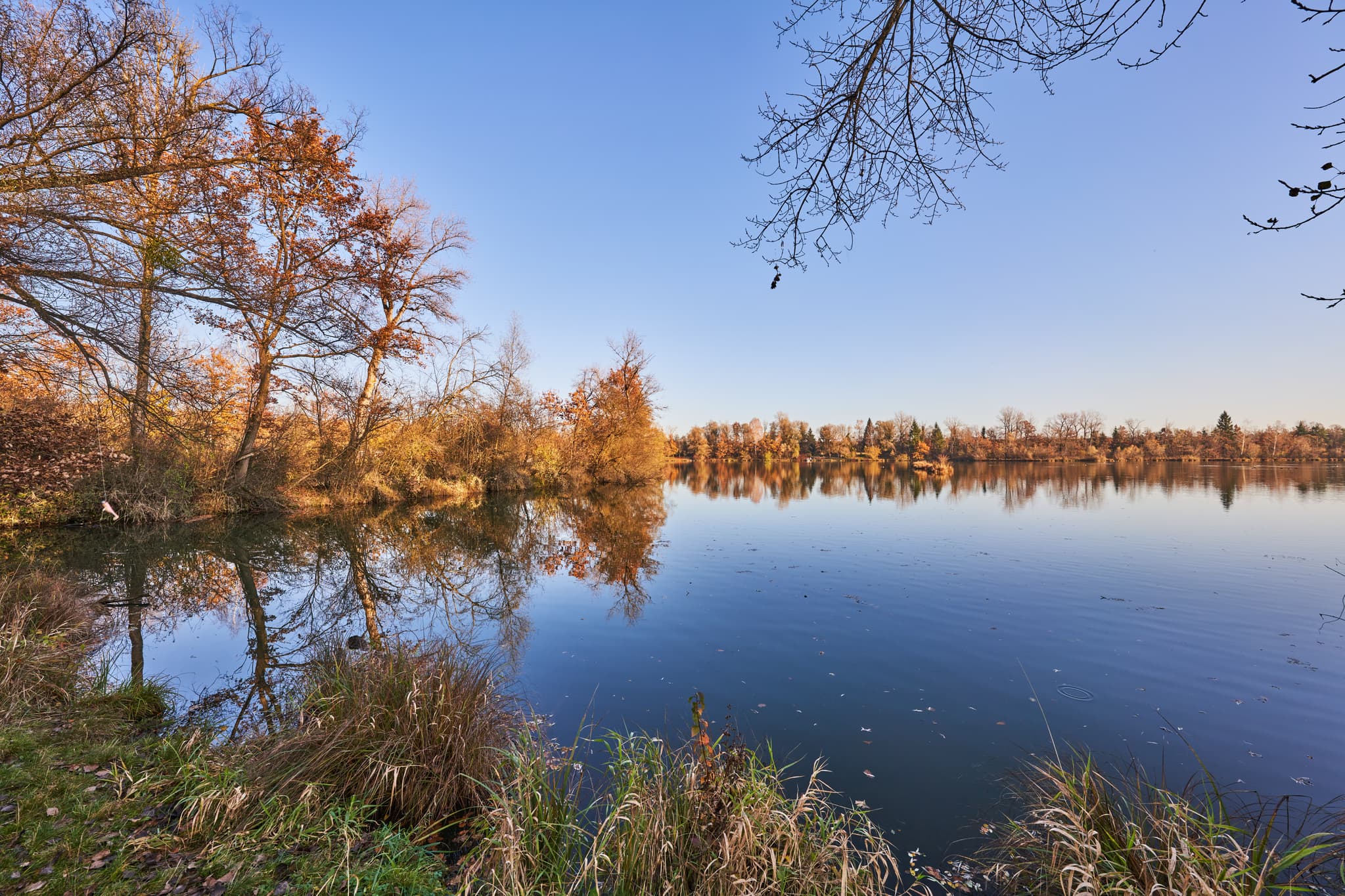 Herbstbild vom Waldsee in Kirchdorf am Inn, Rottal-Inn, Niederbayern, Bäderdreieck. Das klare Wasser reflektiert die Uferbäume und Herbstvegetation.