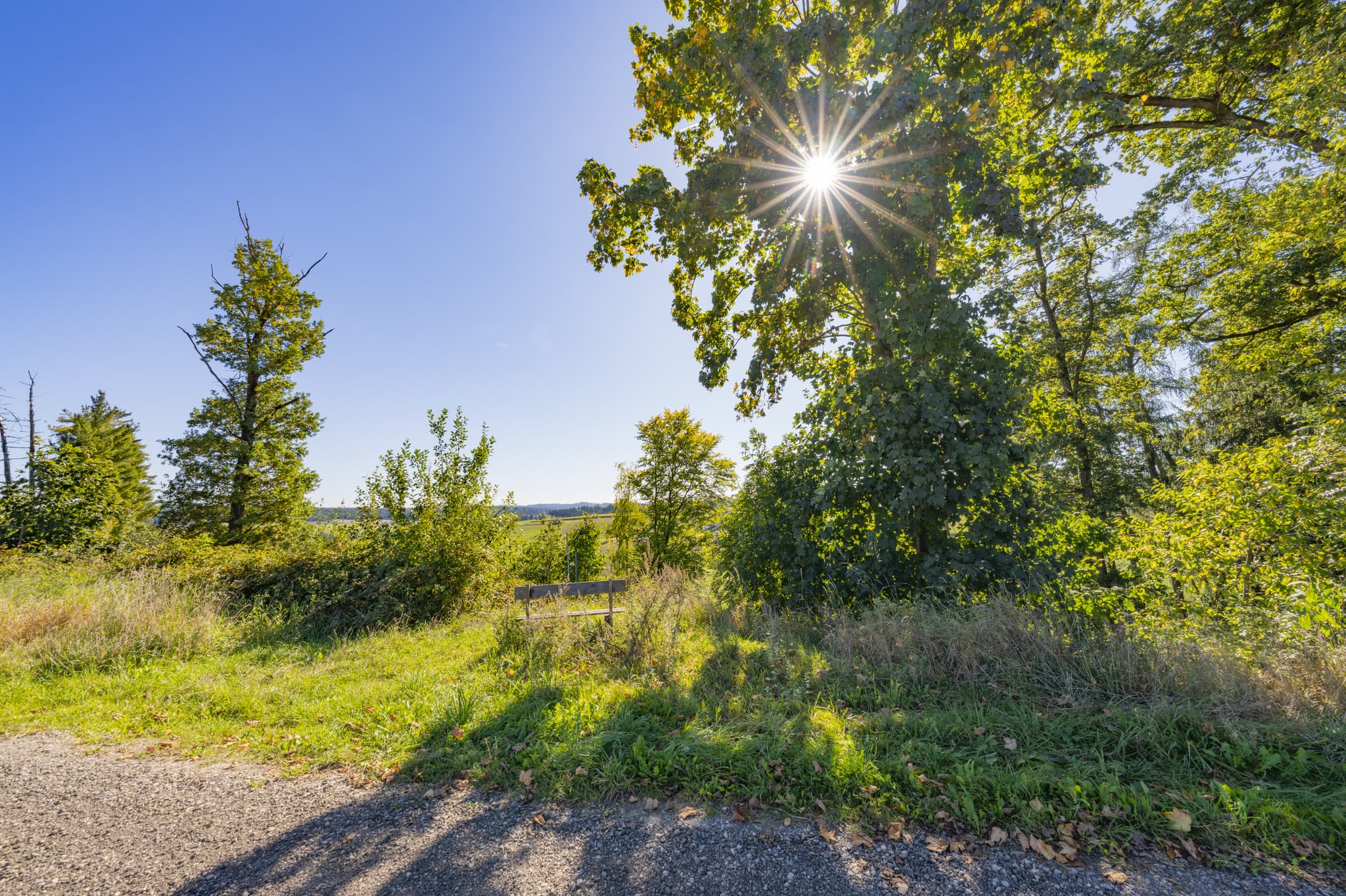 Landschaft mit Rastbank am Wanderweg 2 bei Guteneck, Johanniskirchen, Rottal-Inn, Niederbayern, Bäderdreieck in Deutschland bietet grüne Hügel und Erholung.