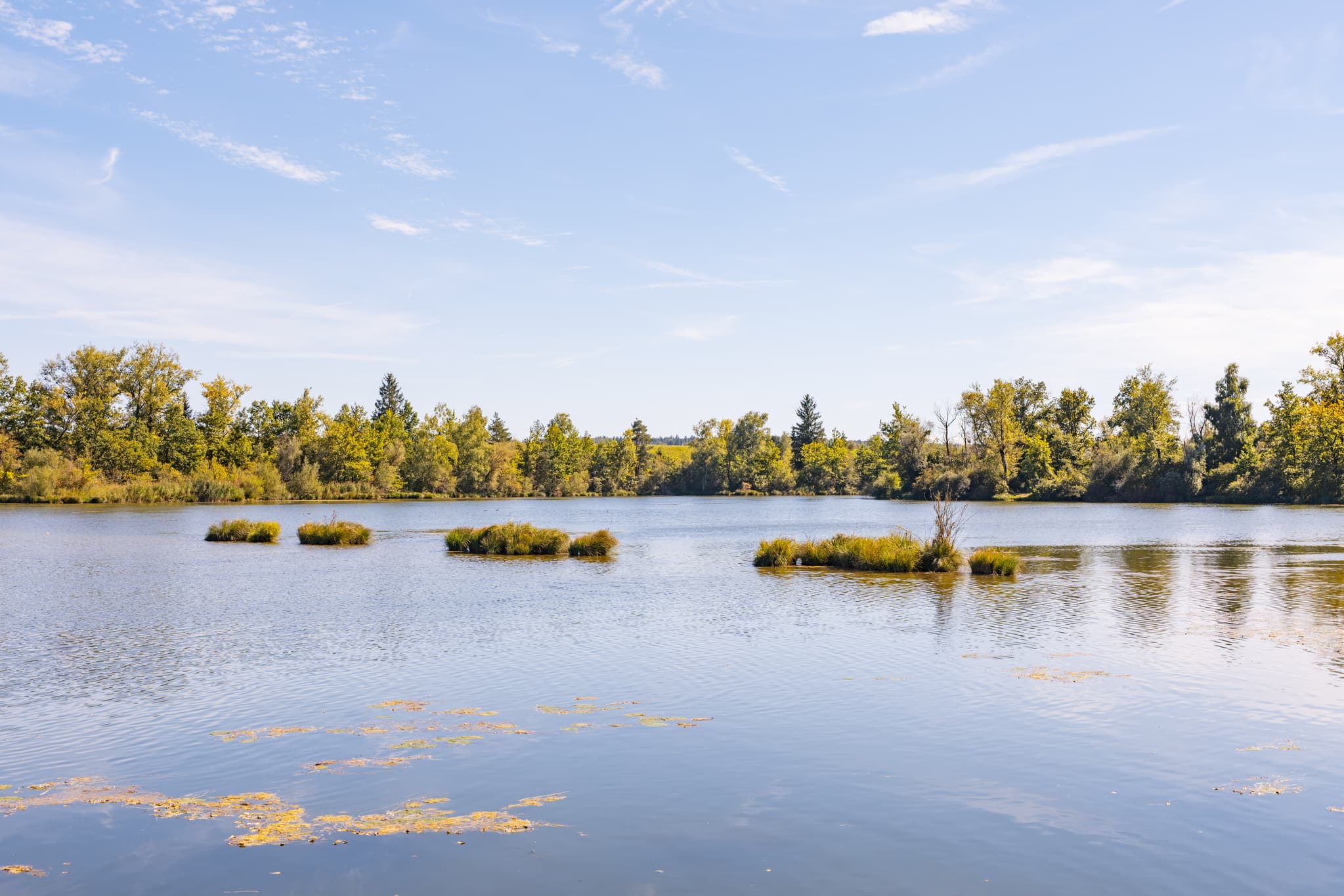 Sommerlicher Waldsee „Lago“ in Kirchdorf am Inn, ein Badesee im Landkreis Rottal-Inn, Niederbayern, Deutschland. Ruhige Landschaft im Bäderdreieck.