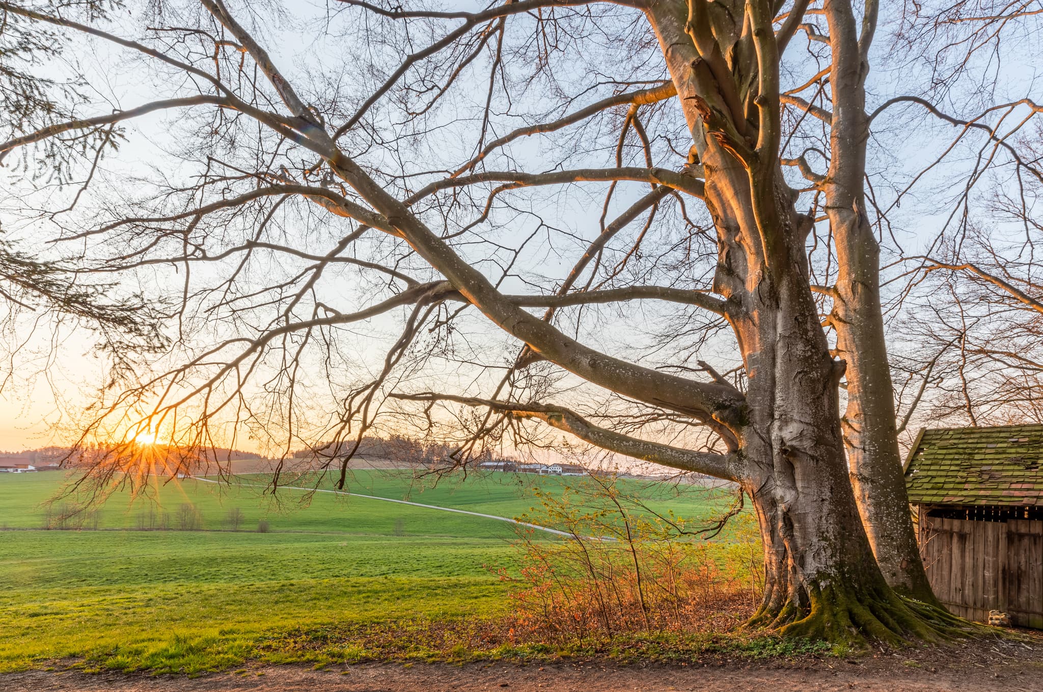 Sonnenuntergang über einem Waldgebiet bei Weiher, Arbing in der Gemeinde Reischach, Altötting, Oberbayern, Deutschland, Idyllische Landschaft.