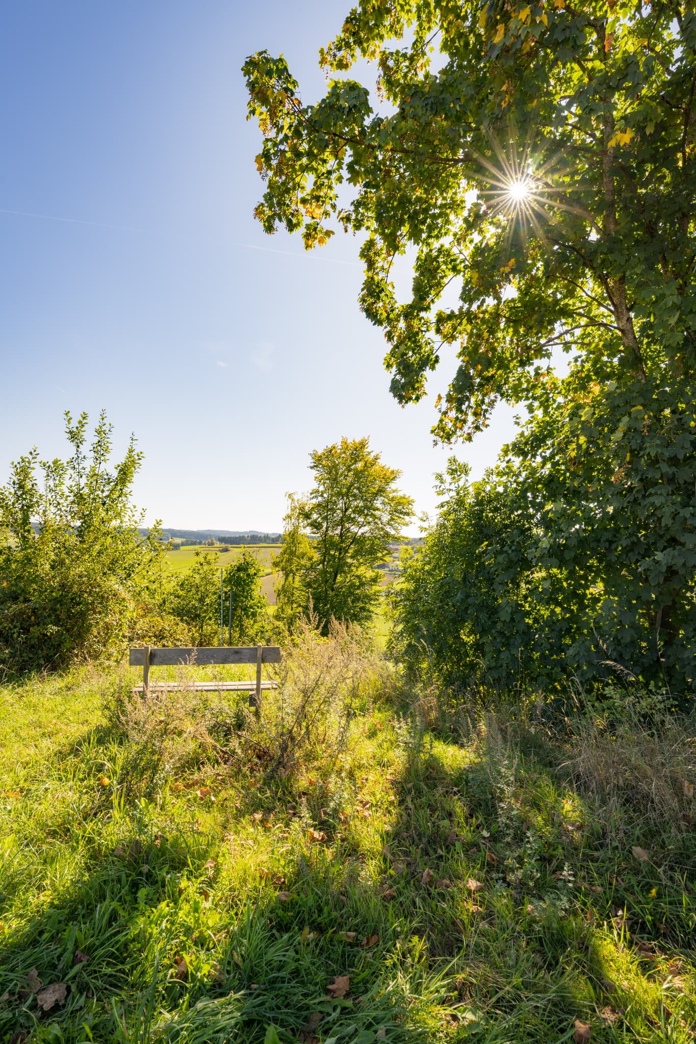 Landschaft mit Rastbank am Wanderweg 2 bei Guteneck, Johanniskirchen, Rottal-Inn, Niederbayern, Bäderdreieck in Deutschland bietet grüne Hügel und Erholung.