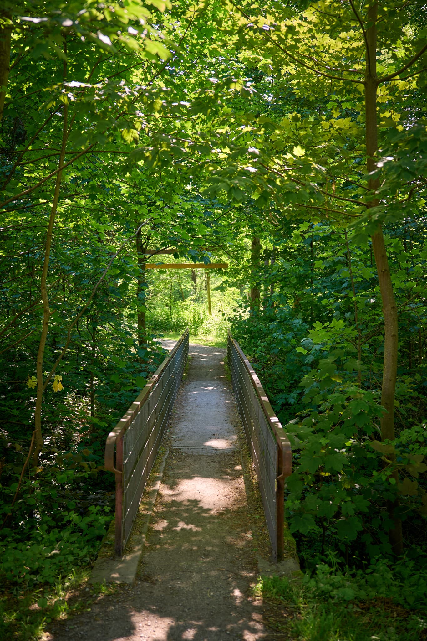Naturerlebnisweg Innaue in Mühldorf am Inn, Oberbayern. Dieser Pfad mit kleiner Brücke führt durch dicht bewaldetes Gebiet in der Inn-Salzach Region.