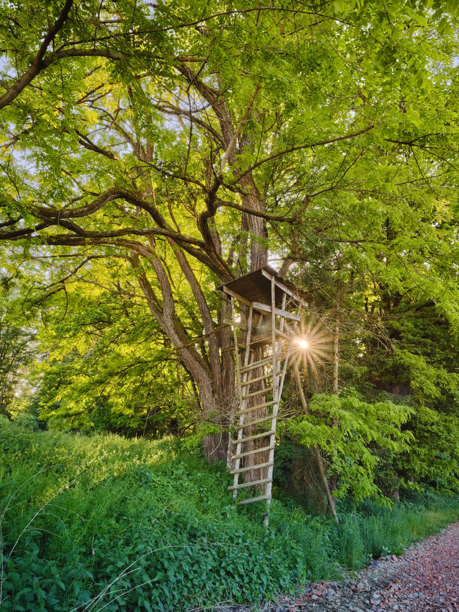 Jagdhochsitz. Reiter, Schächnerhof Waldberger Str., Erlbach, Altötting, Oberbayern, Inn-Salzach, Deutschland.