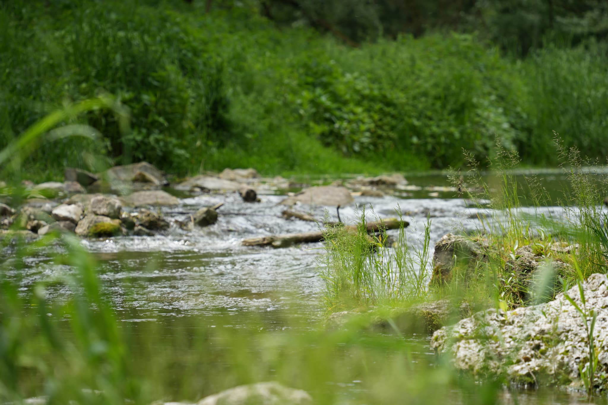 Schöner Spazierweg vom Schloss Frauenbühl, nach Holzen, zur Isen mit Vielen Steinen zum Balancieren und Fotografieren wieder zum Schloss zurück