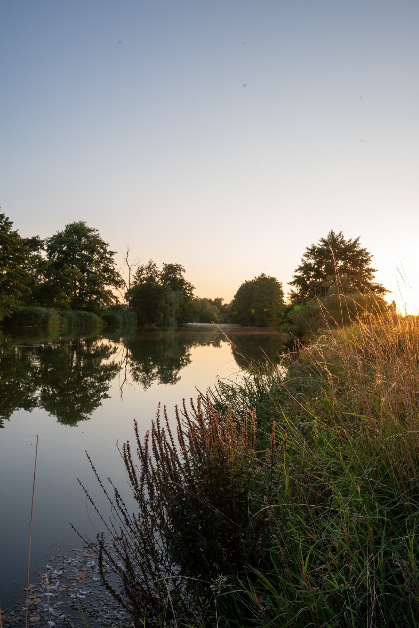 Ruhige Abendstimmung an der Rott bei Unterdietfurt  Spiegelung der Bäume im ruhigen Wasser, sanfte Lichtbrechung im hohen Gras.Warme Farben des Sonnenuntergangs