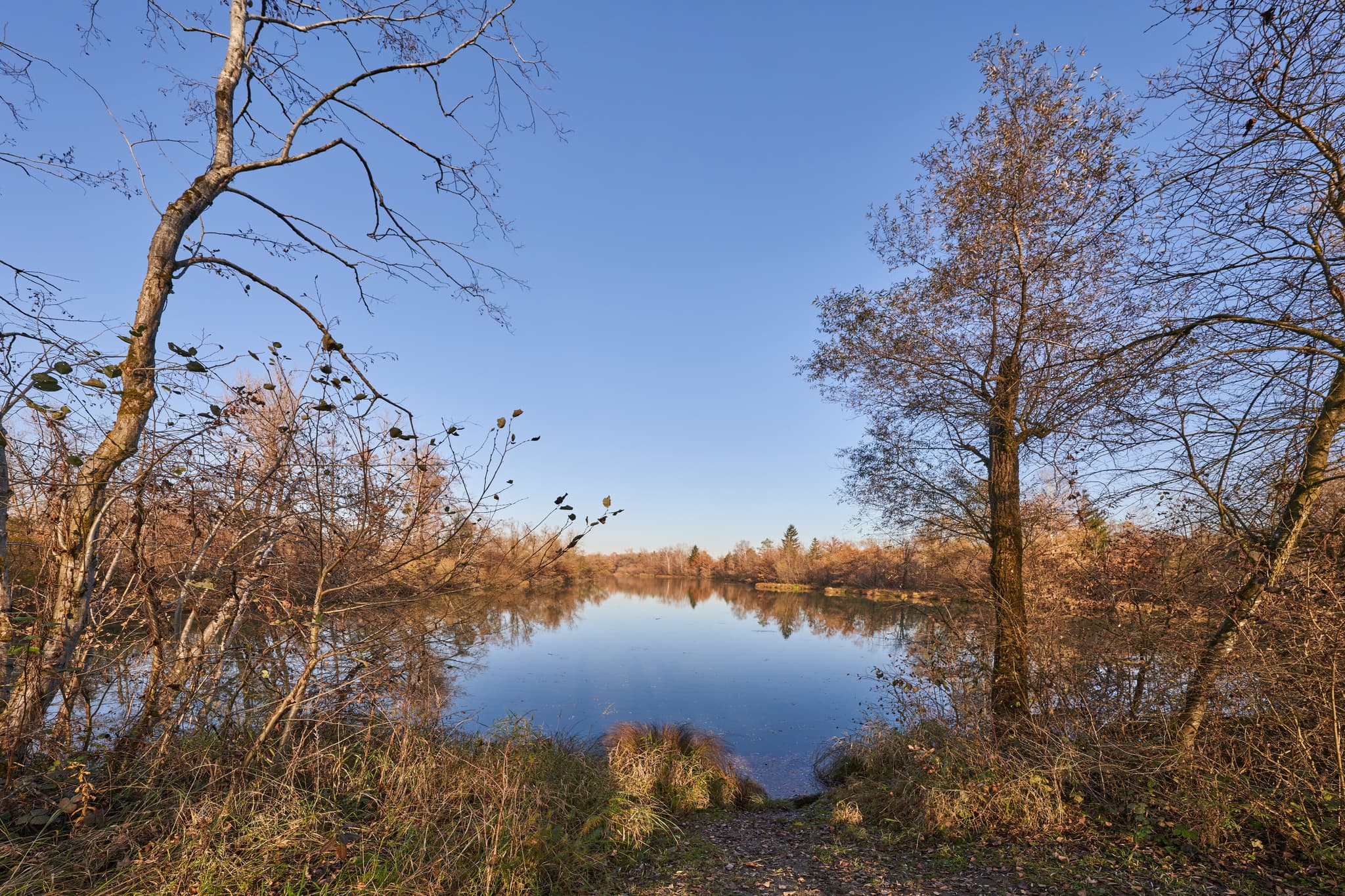 Waldsee bei Kirchdorf am Inn, Rottal-Inn. Wasser spiegelt blauen Himmel. Herbstliche Ufervegetation und Bäume prägen die Landschaft. Niederbayern.