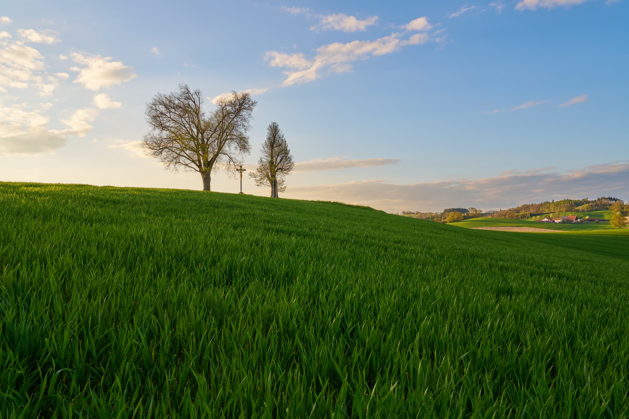 Malerisches Feldkreuz am Aussichtspunkt Karpfham bei Bad Griesbach im Landkreis Passau, Niederbayern. Eine idyllische Landschaft, Bayerische Toskana.