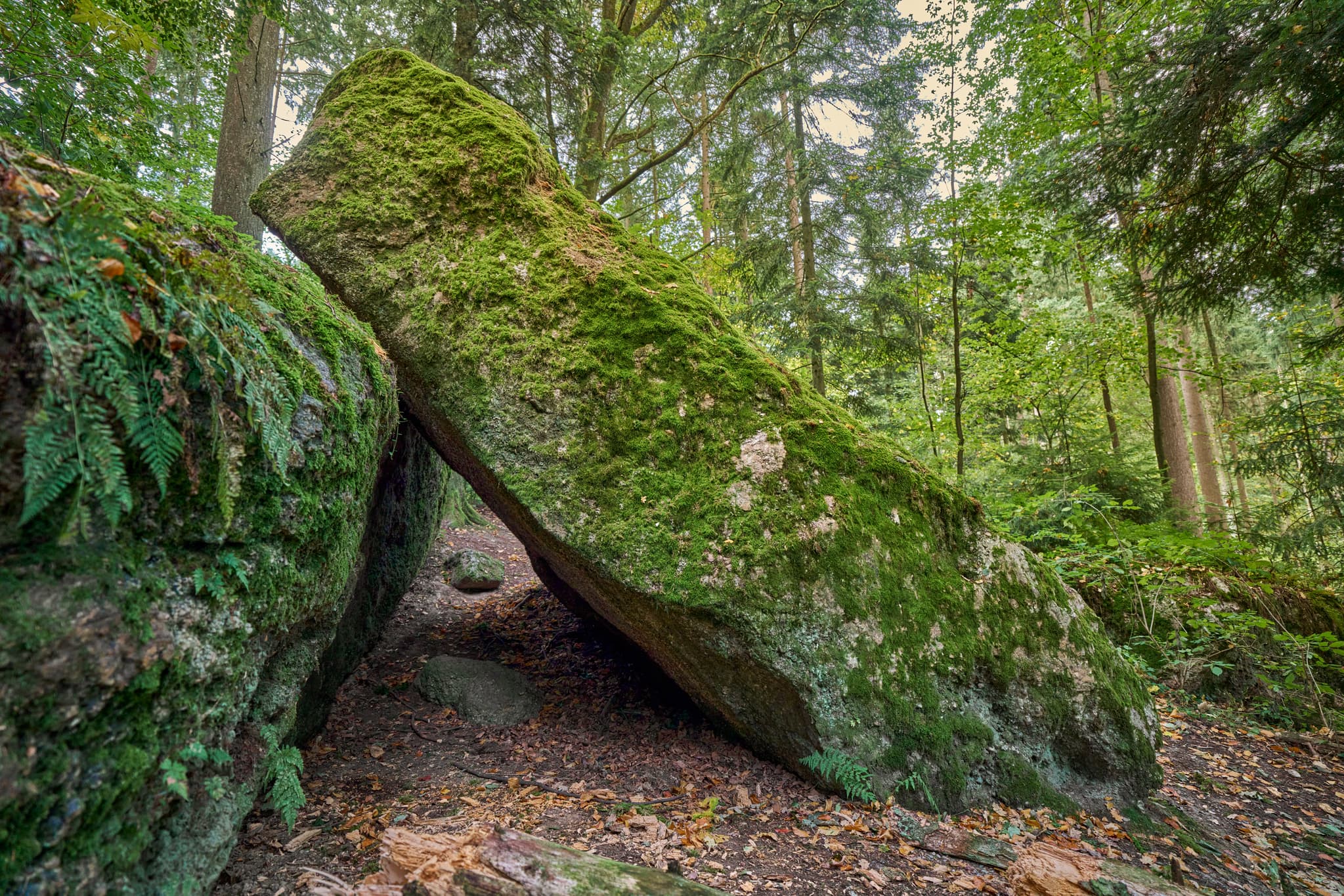 Teufelsstein in Bad Griesbach, Landkreis Passau, Niederbayern, Bayern, Deutschland. Das Bild zeigt Details der Felsstrukturen mit Farbreste.