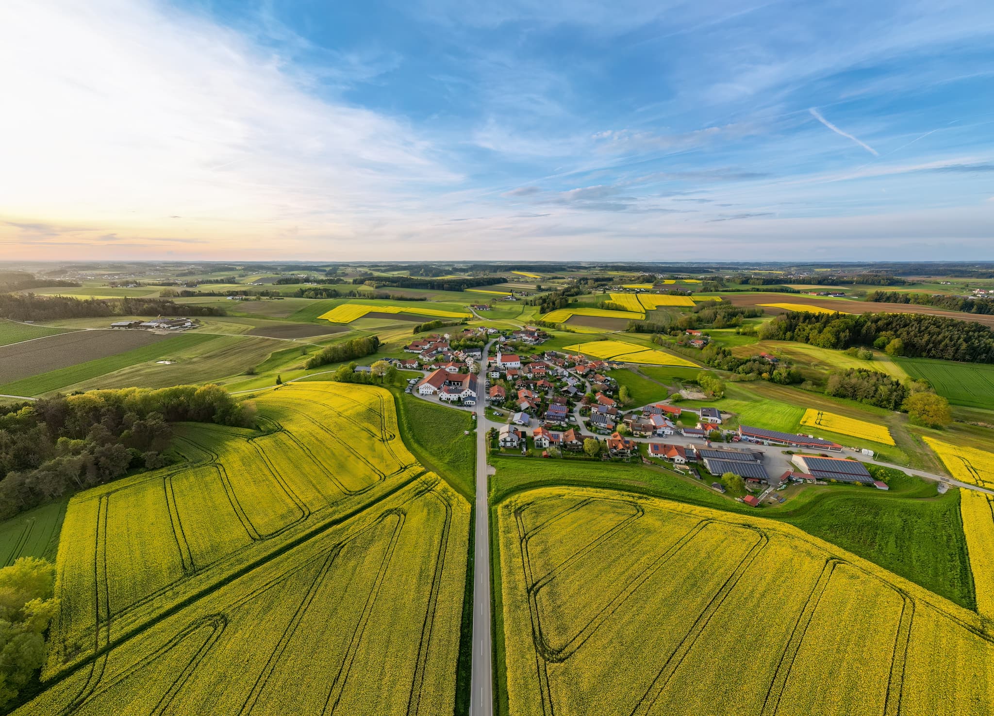 Luftbild blühender Rapsfelder und Dorf Arbing, Reischach, Landkreis Altötting, Oberbayern, Inn-Salzach, Deutschland. Weite Agrarlandschaft unter blauem Himmel.