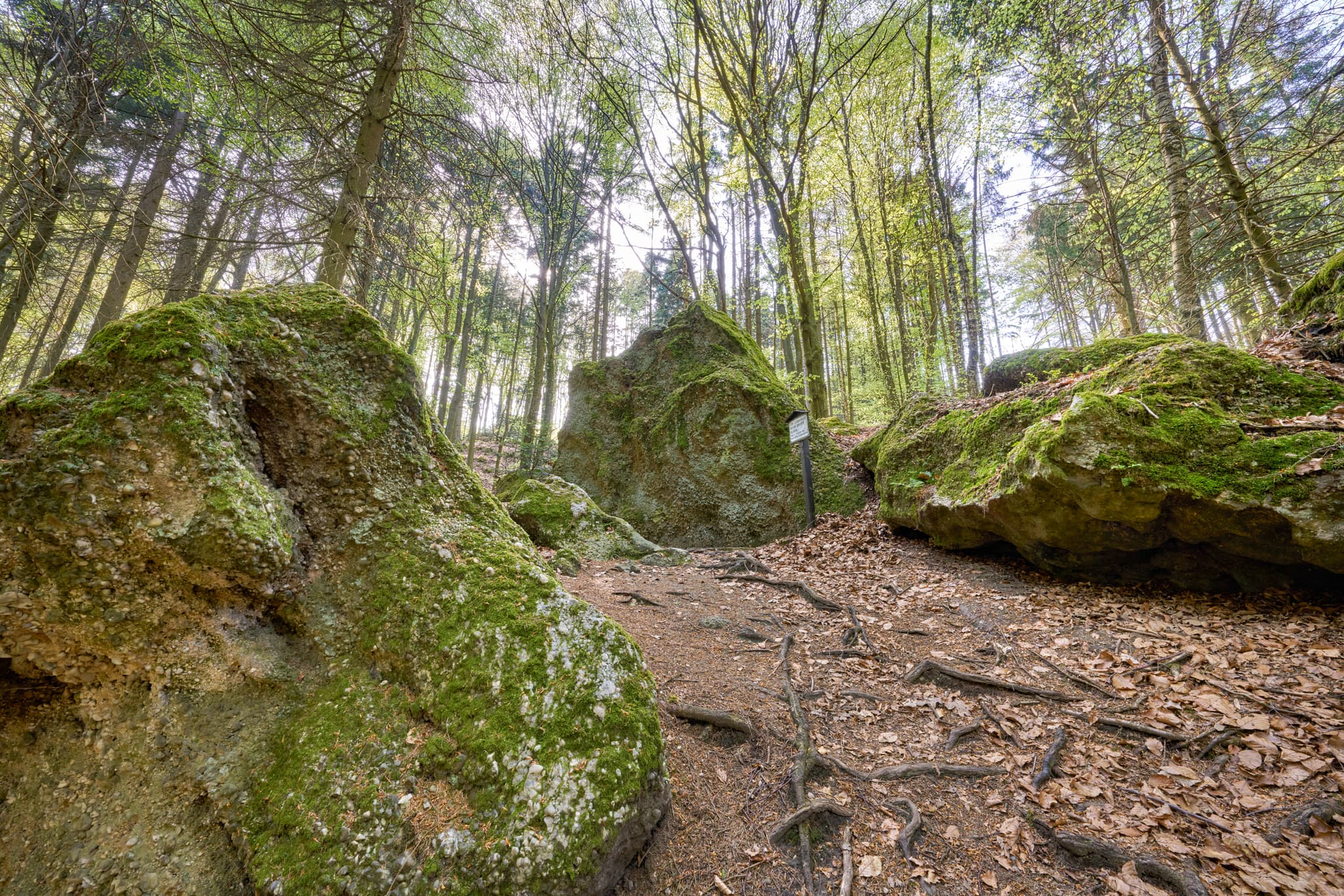 Moosbewachsene Felsen im Wald bei St. Salvator Luisenburg, Bad Griesbach. Landkreis Passau, Niederbayern, Bayerischer Wald, Deutschland.